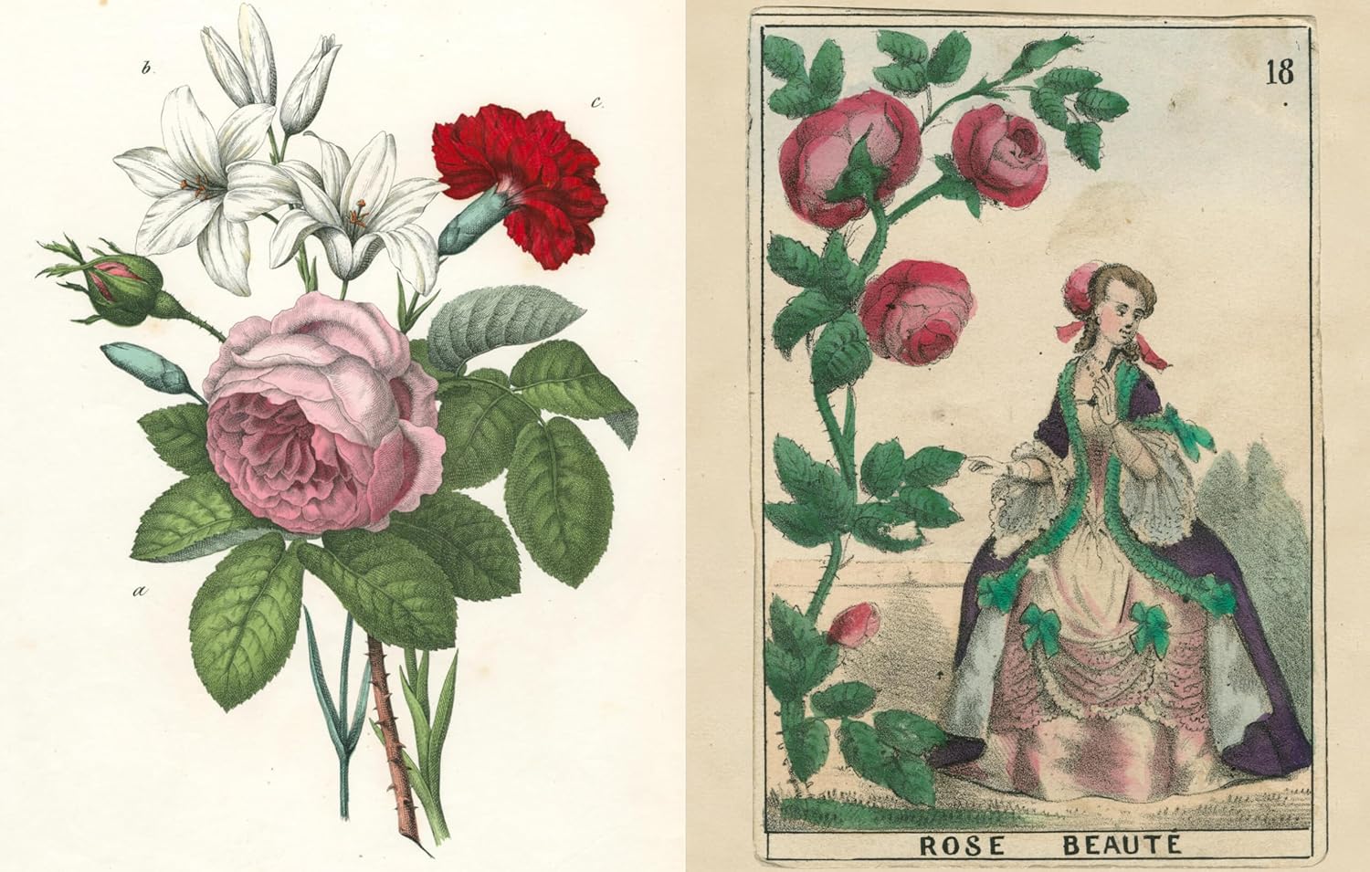 New Mags John Derian Picture Book II Bok