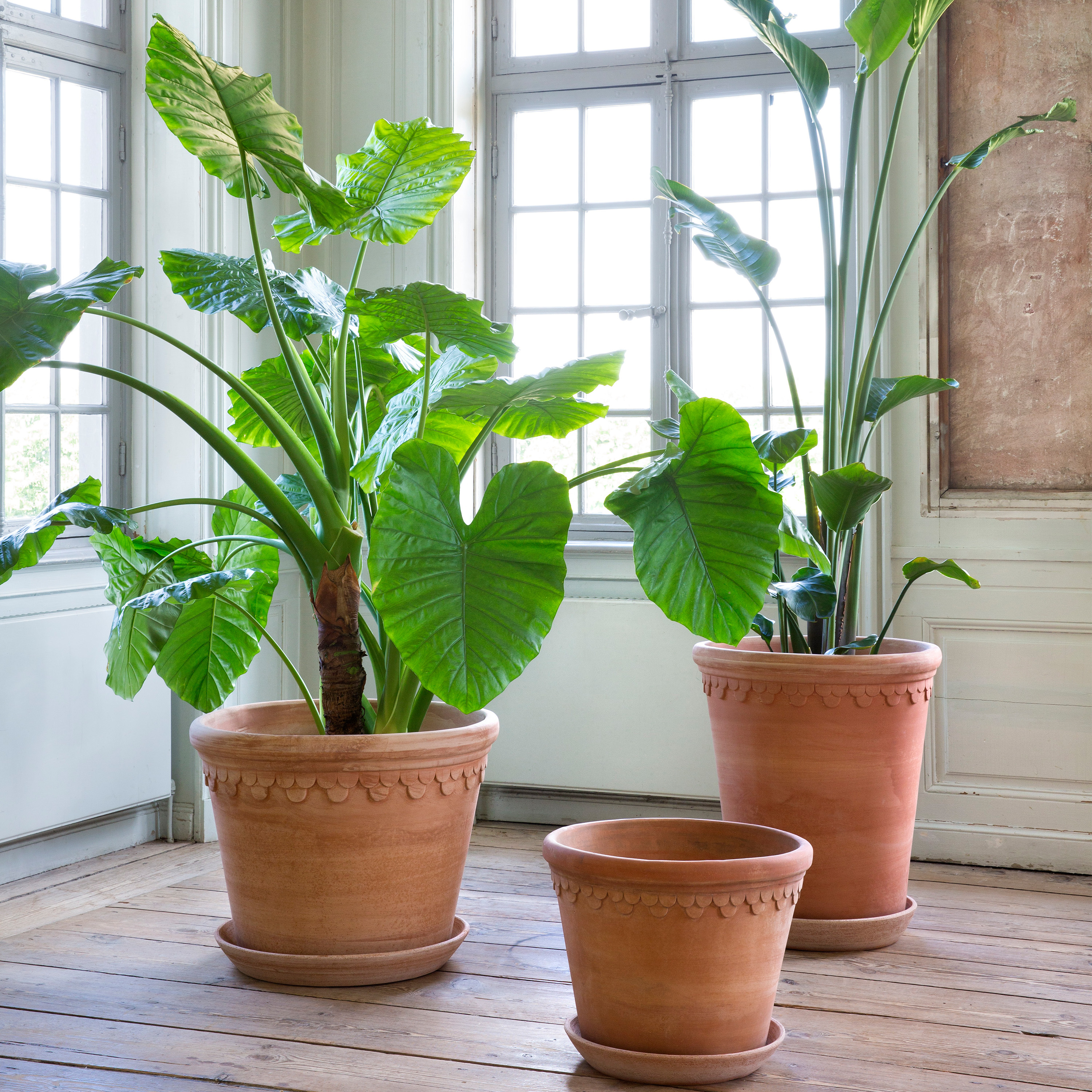 Bergs Potter Københavner Topf Raw Rosa Terrakotta Ø70