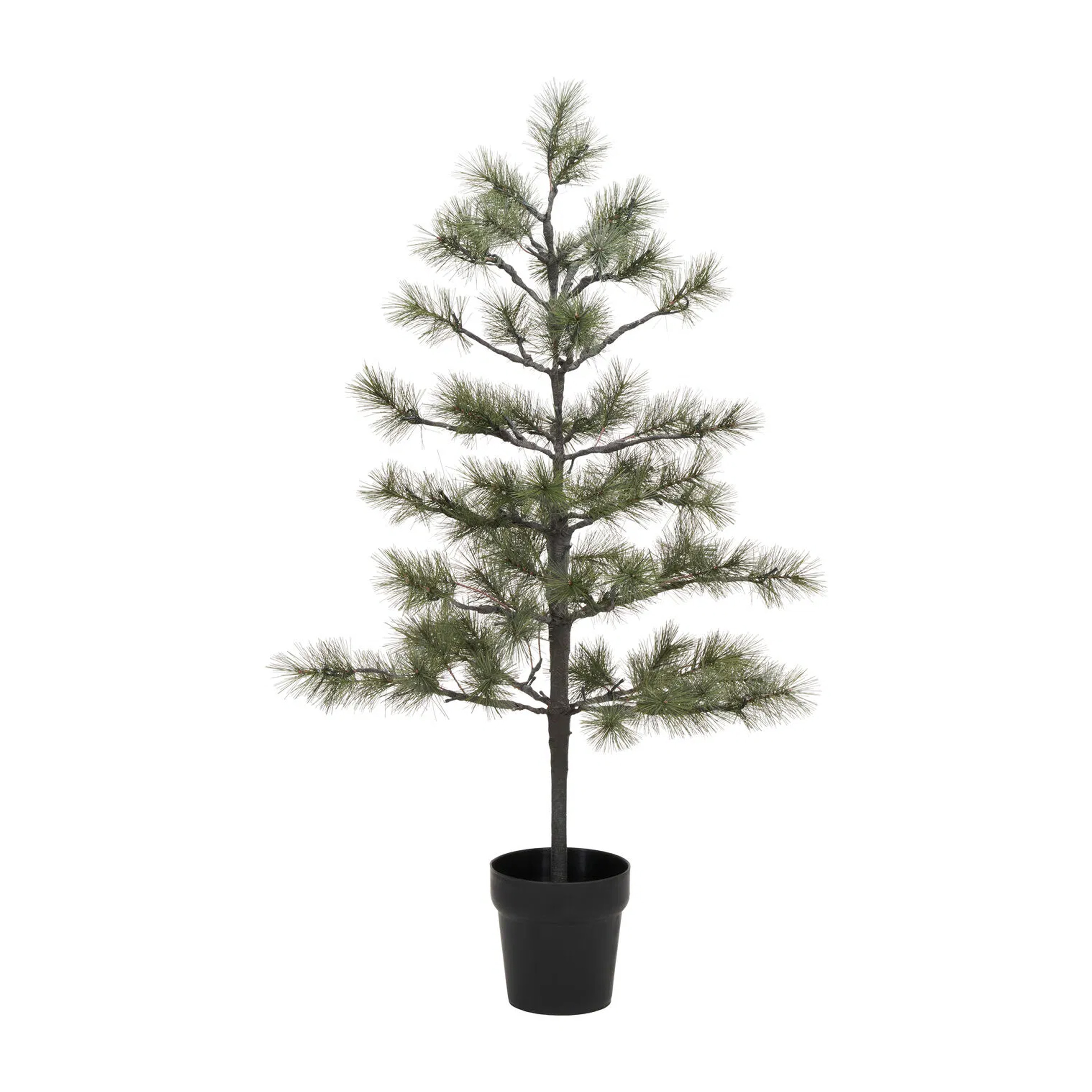Peuce Christmas Tree Natural 125cm