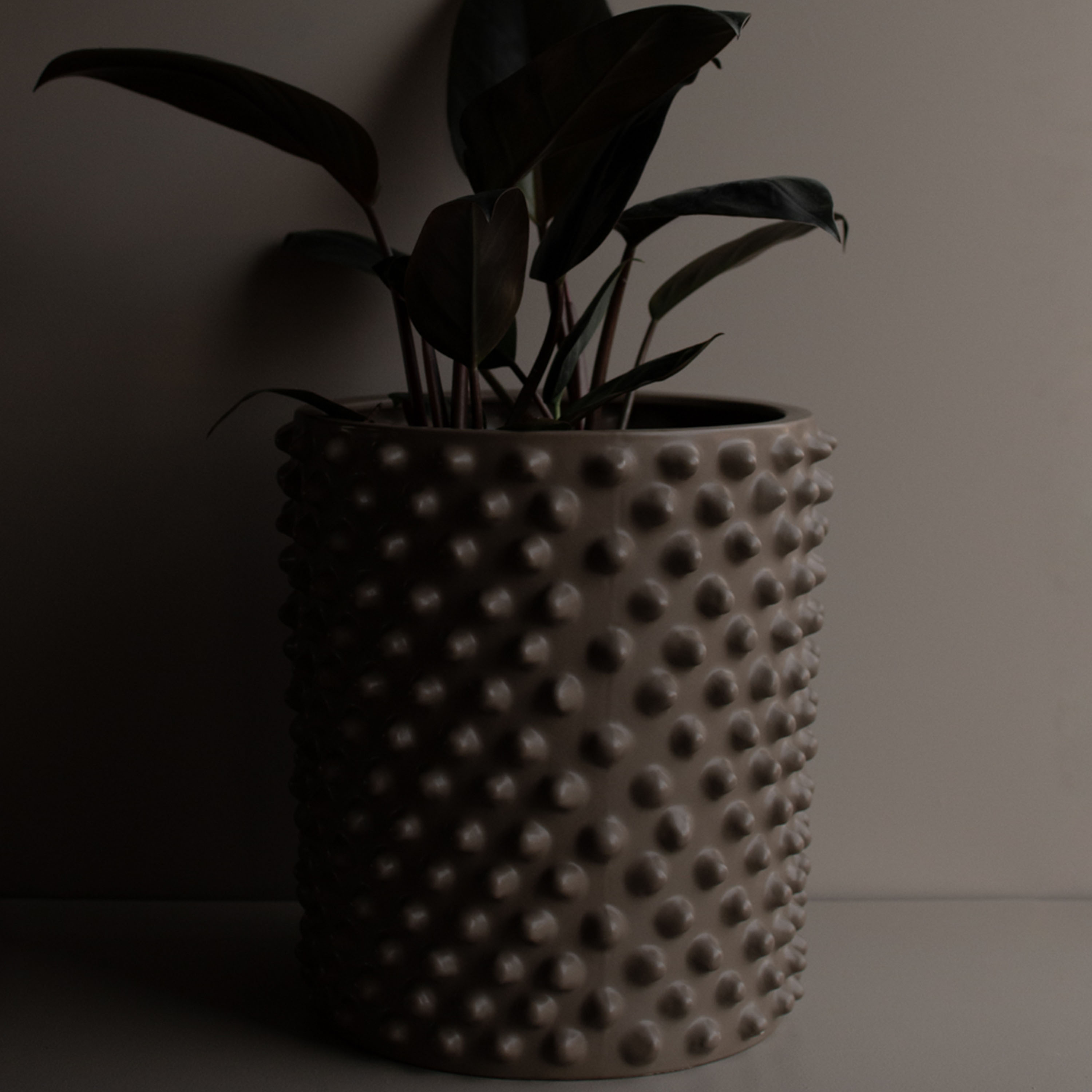 DBKD Cloudy Kruka Dust Medium