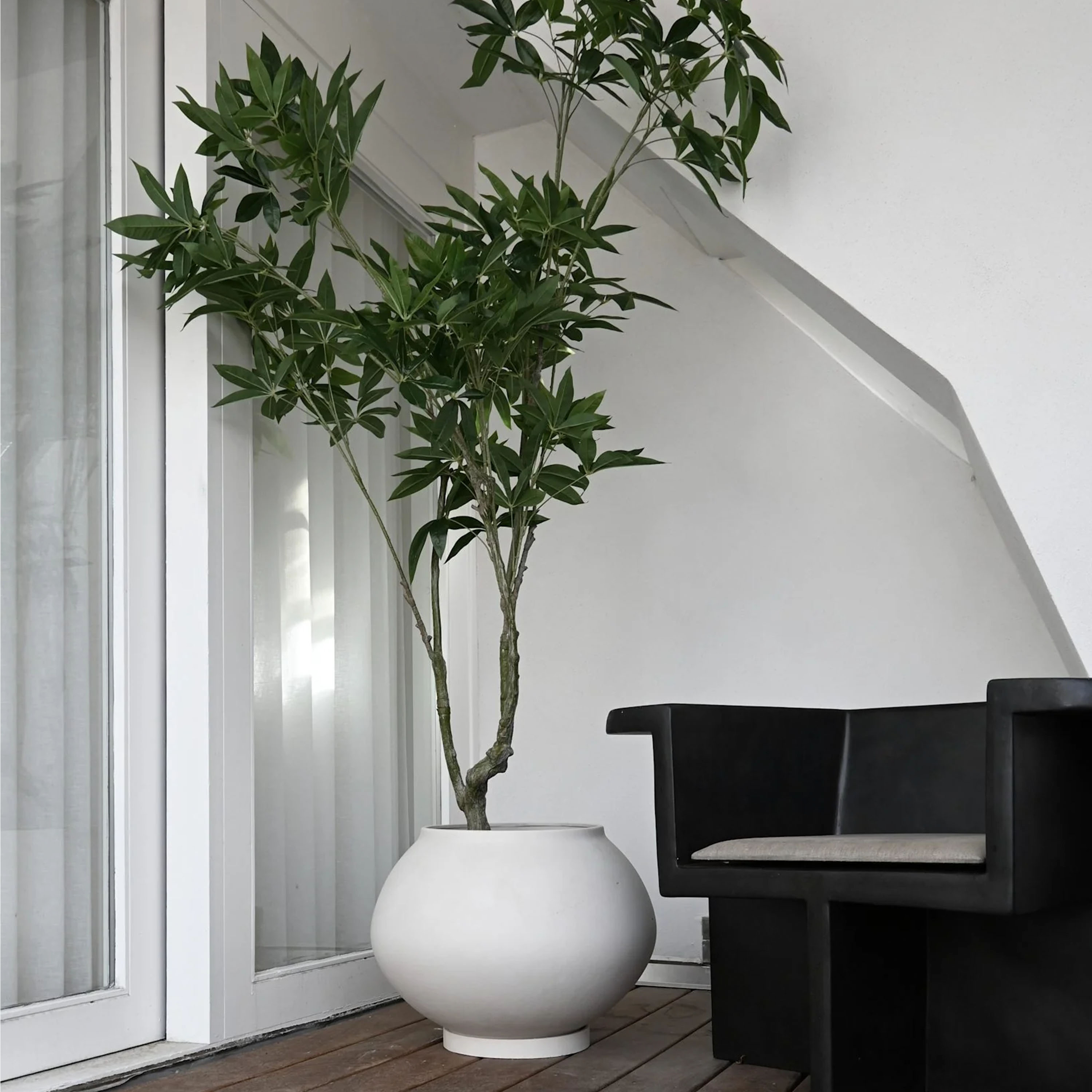 101 Copenhagen Sunao Ruukku lautasella Koivu Hexa