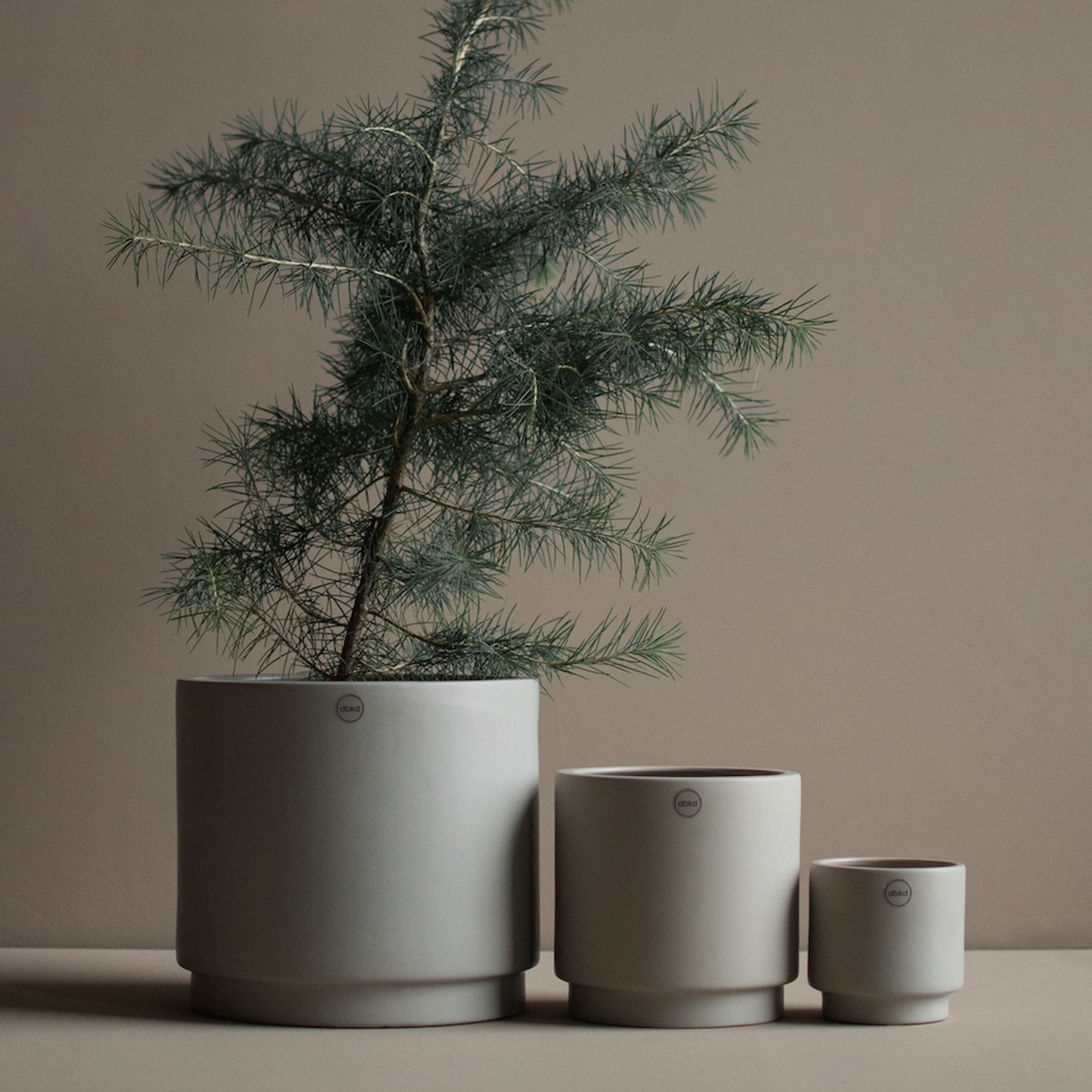 DBKD Solid Kruka Mole Medium