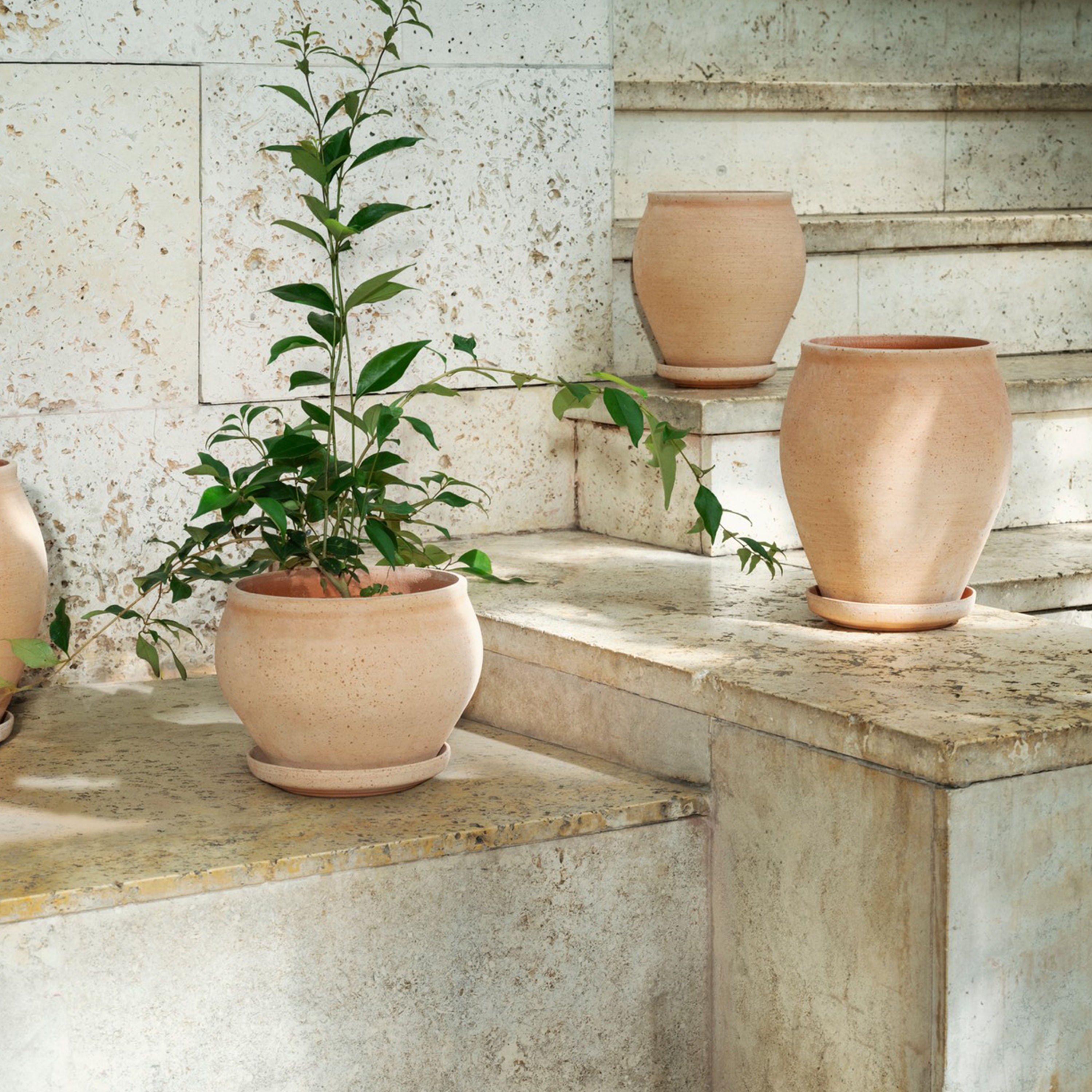 Bergs Potter Delphi Ruukku aluslautasella Raw Rosa Low Ø24