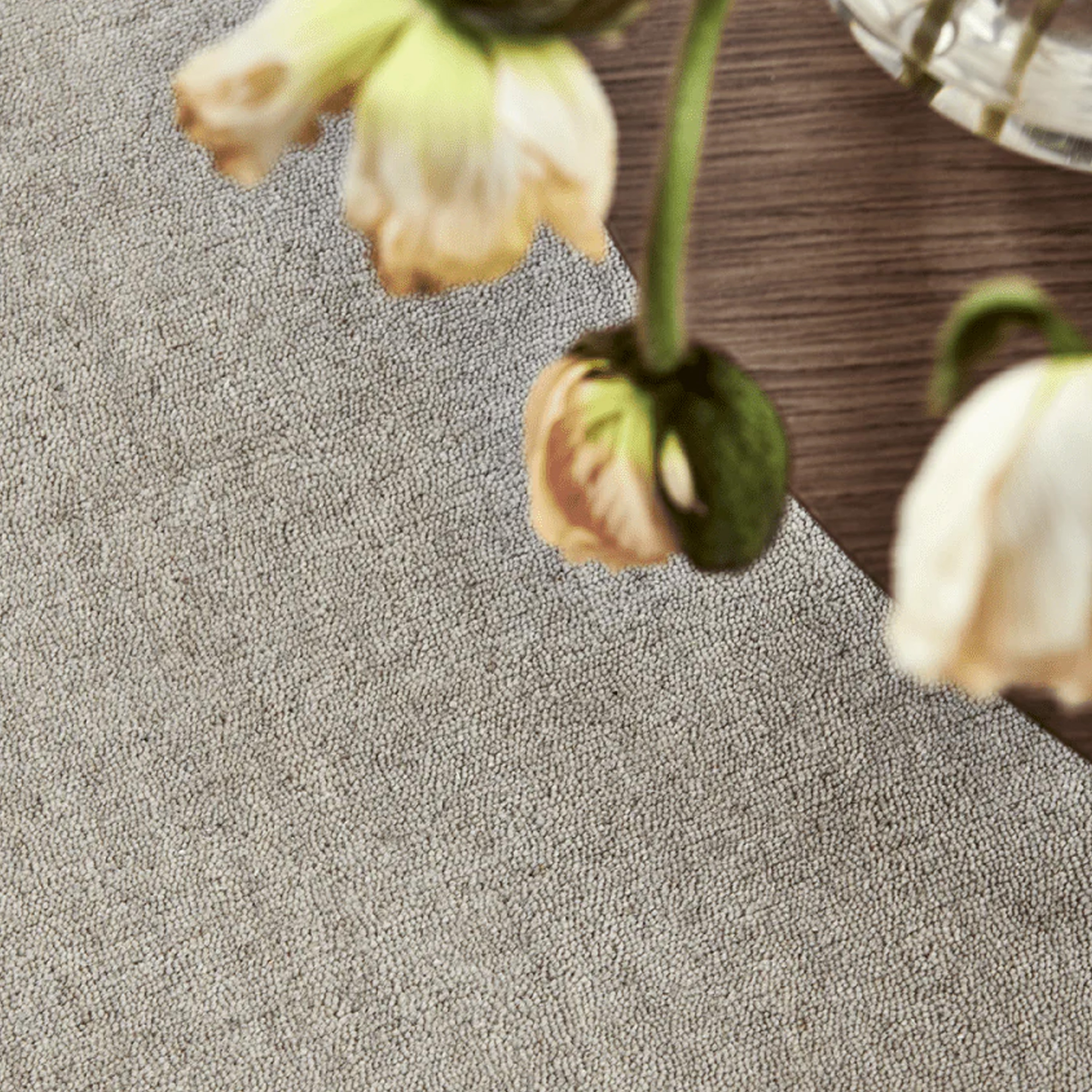 Classic Collection Solid Wollteppich Beige 250x350