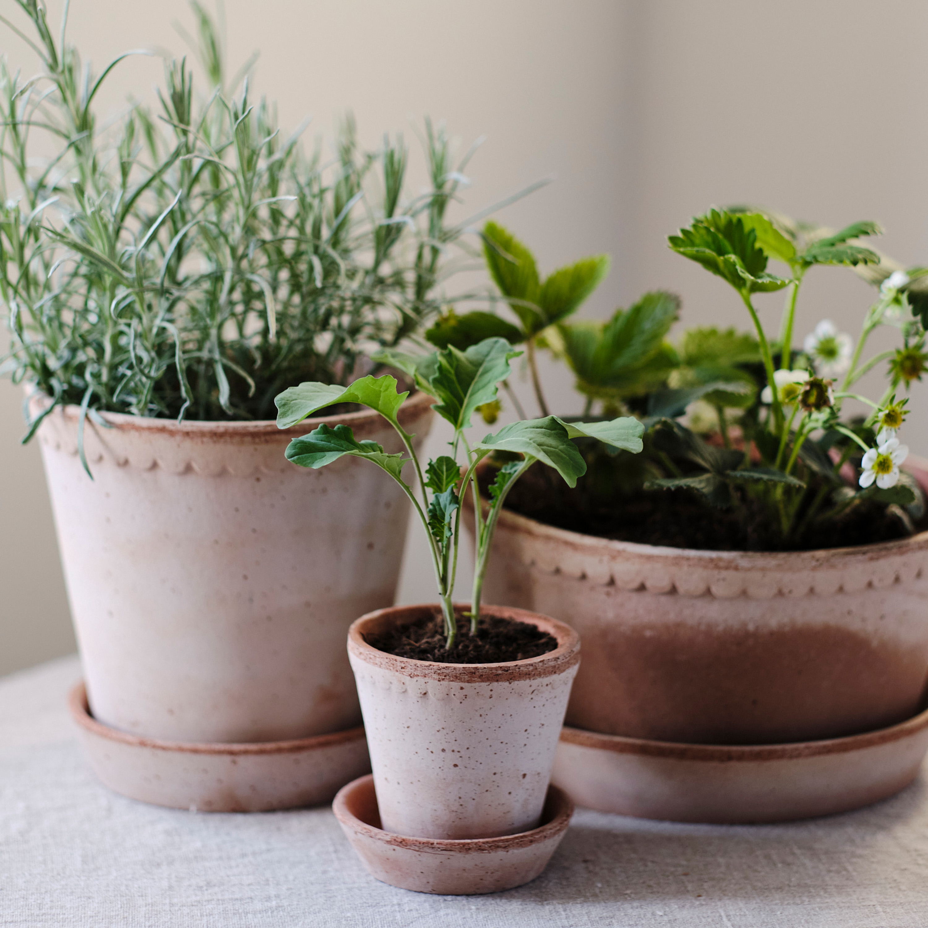 Bergs Potter Helena Topf mit Untersetzer Raw Rosa Terrakotta Ø30
