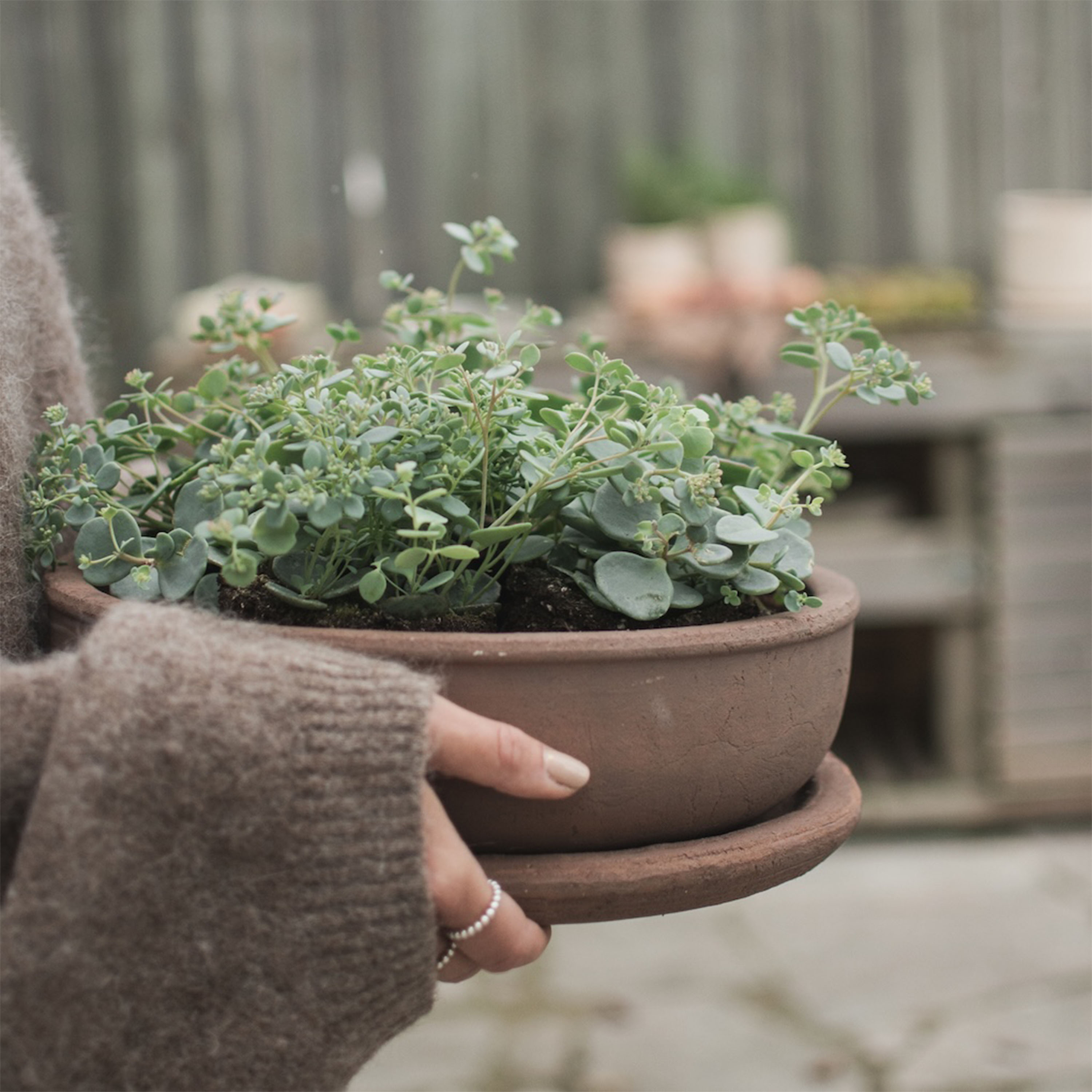 DBKD Terra Skål Brown Ø30