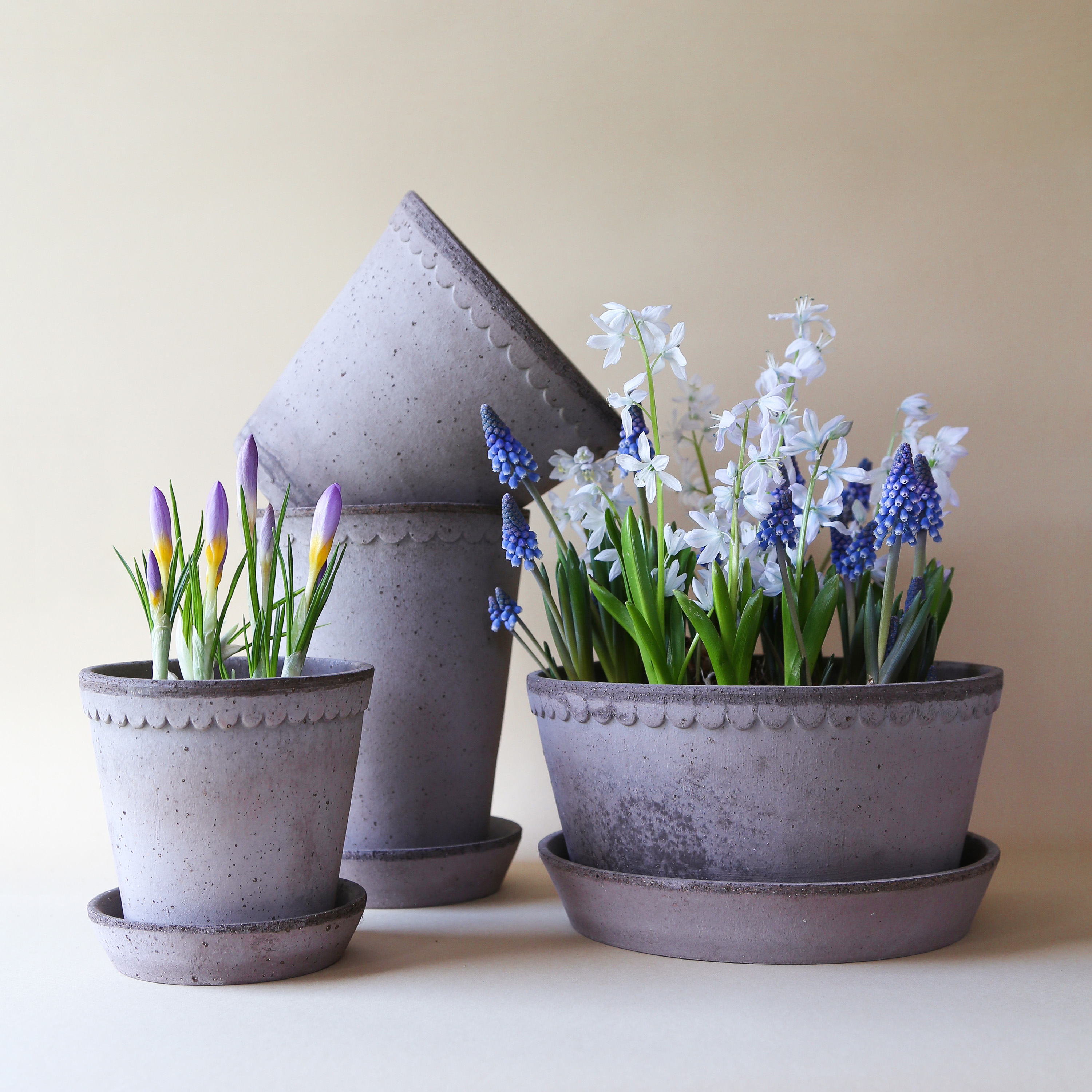 Bergs Potter Helena Topf mit Untersetzer Raw Grey Terrakotta Ø30