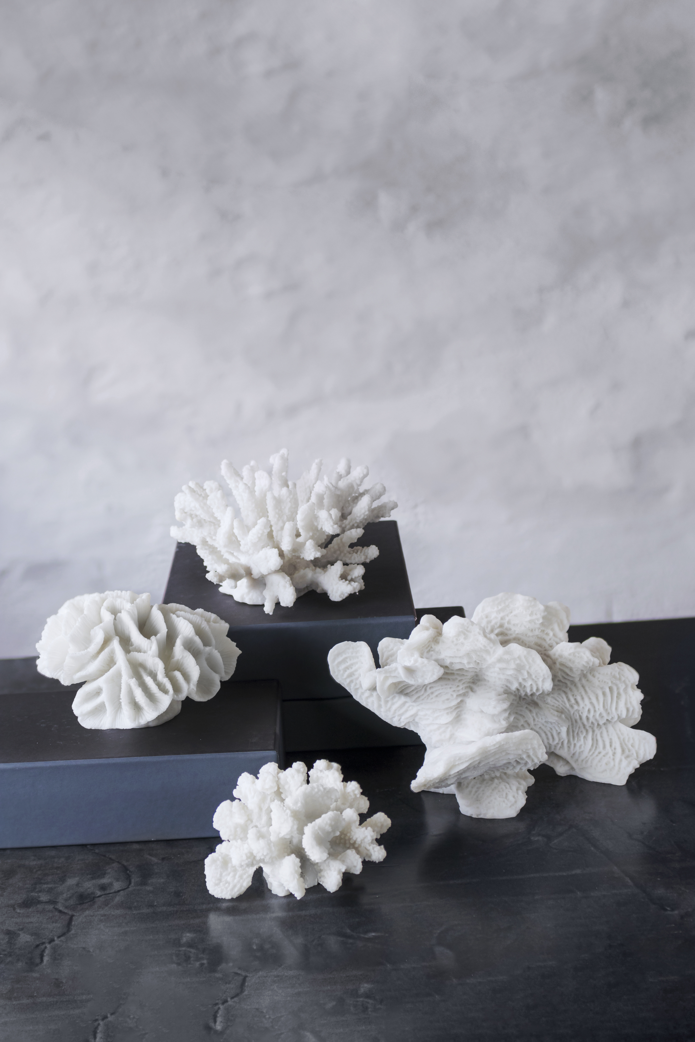 Mette Ditmer Coral Fan Dekoration White