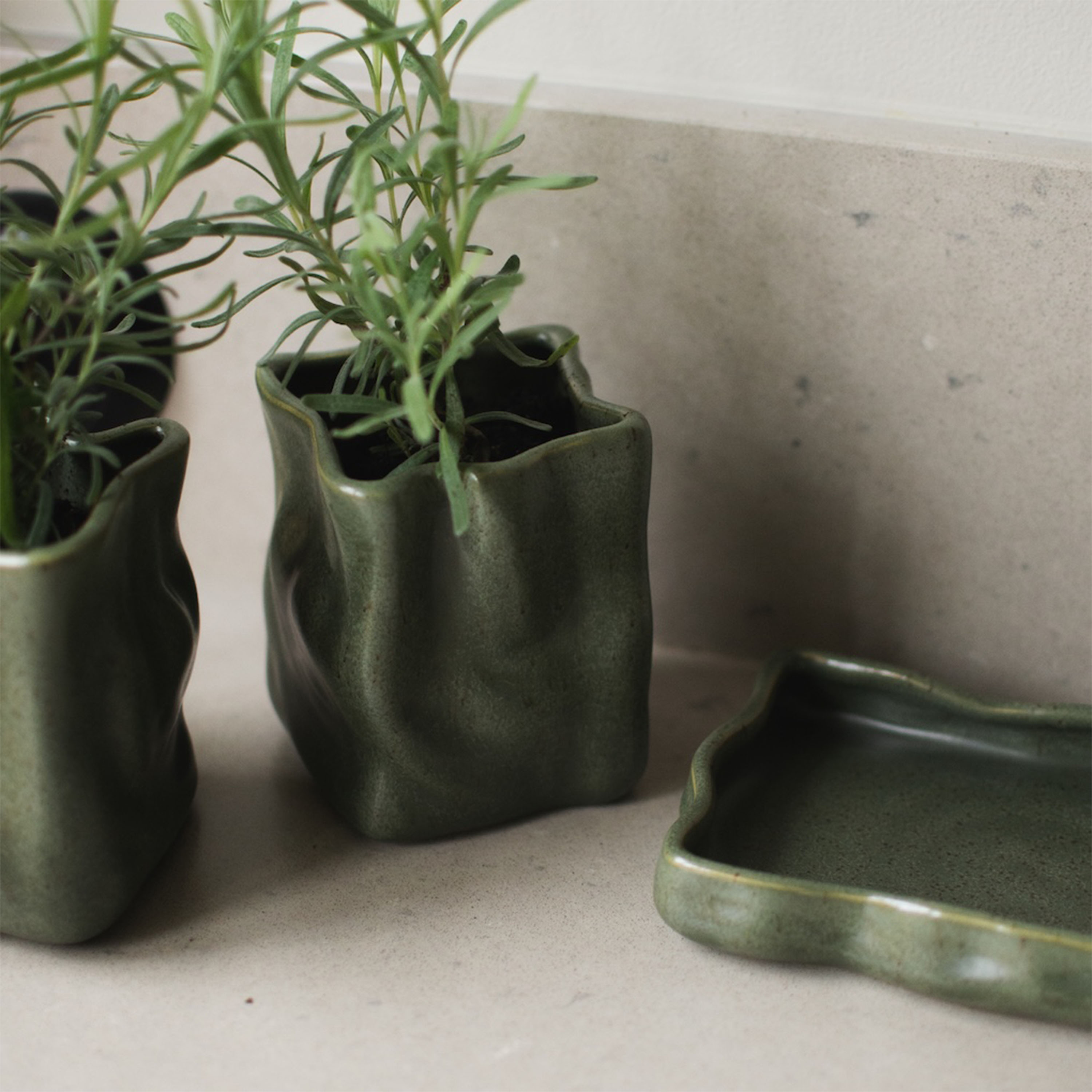 DBKD Herb Kruka Moss Ø8 2-pack