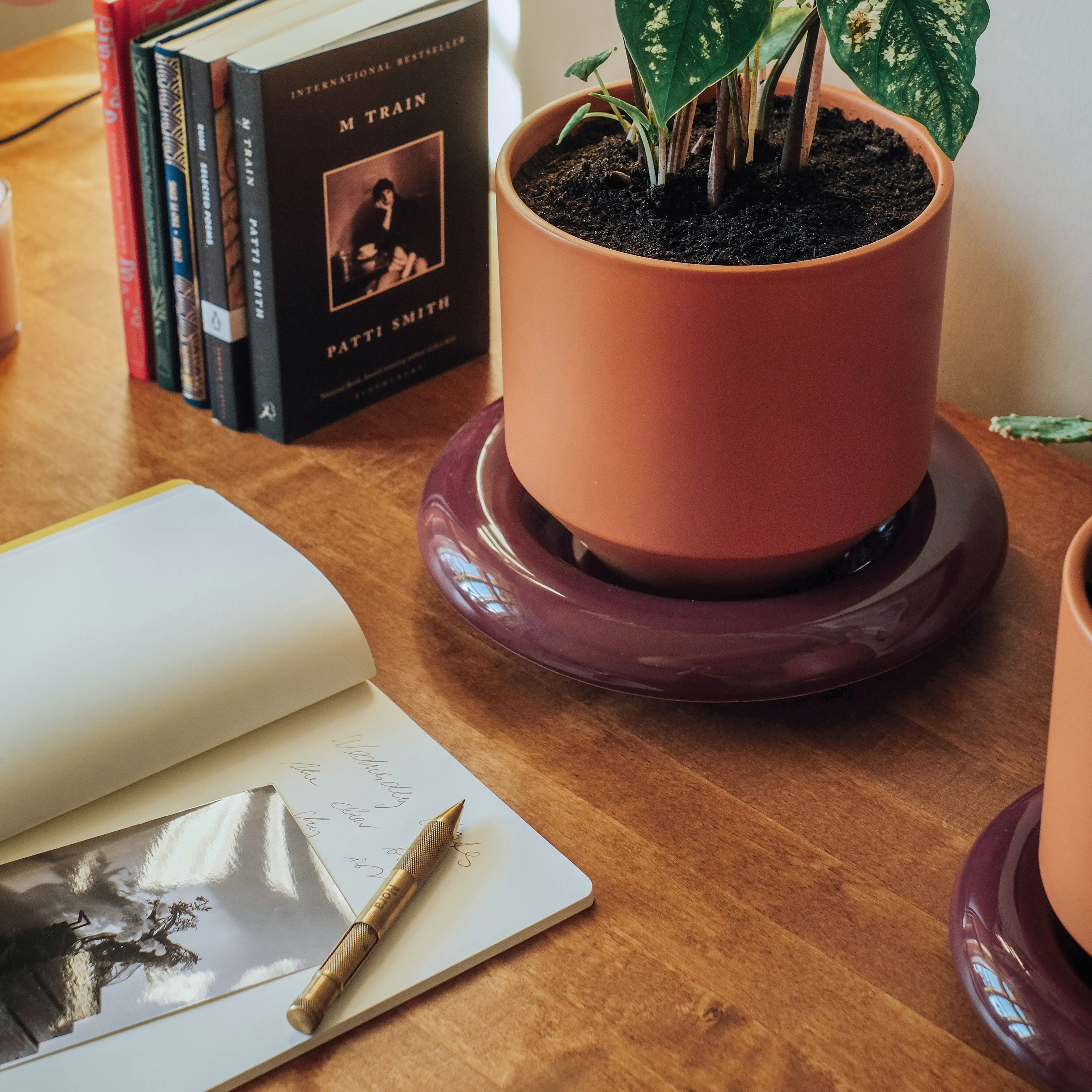 Bergs Potter Lily Untersetzer glasiert Deep Burgundy Ø18