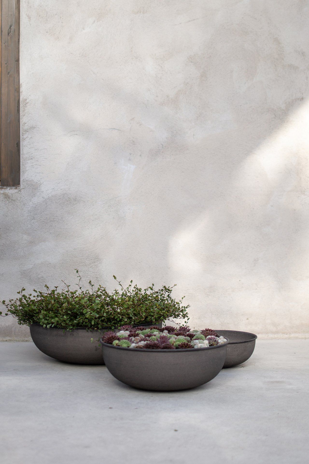 DBKD Out Bowl Black 3-pack