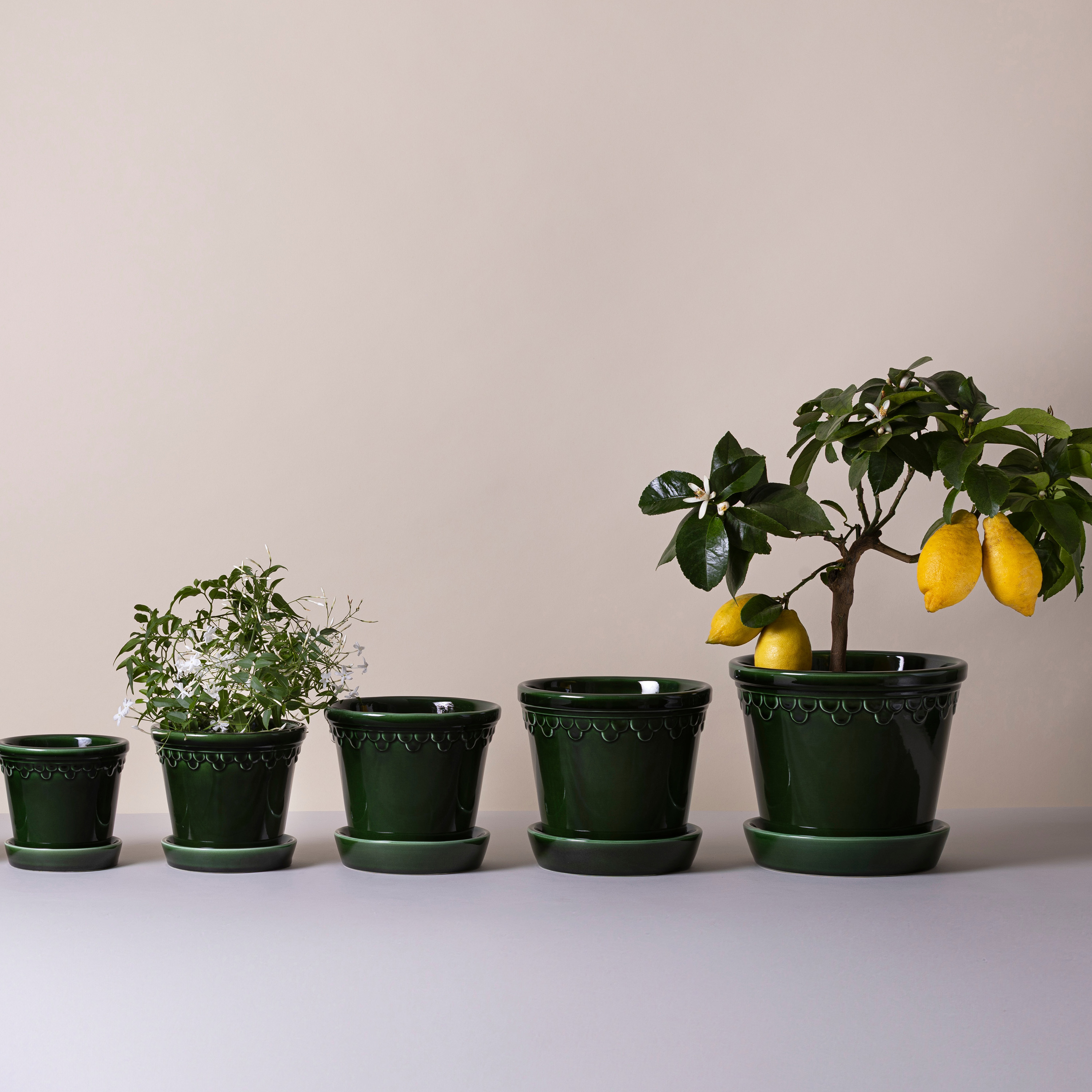 Bergs Potter Københavner Kruka med fat Glazed Emerald Green Ø12