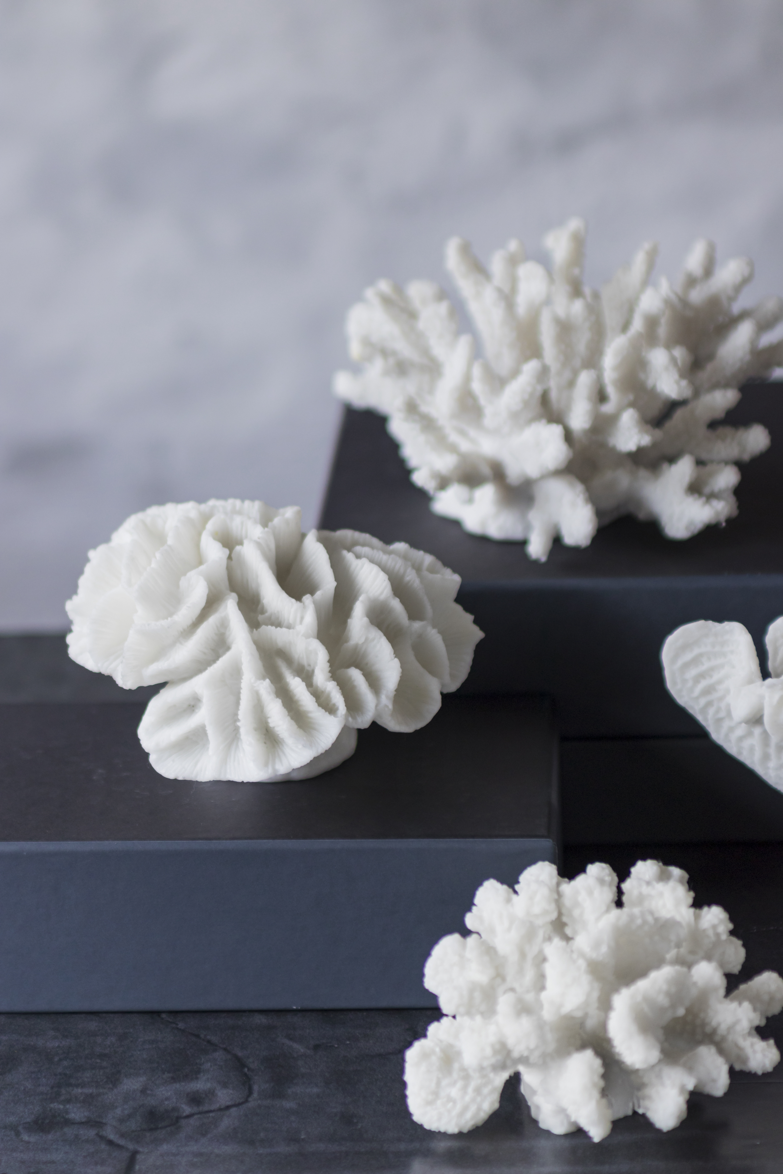 Mette Ditmer Coral Gills Dekoration White