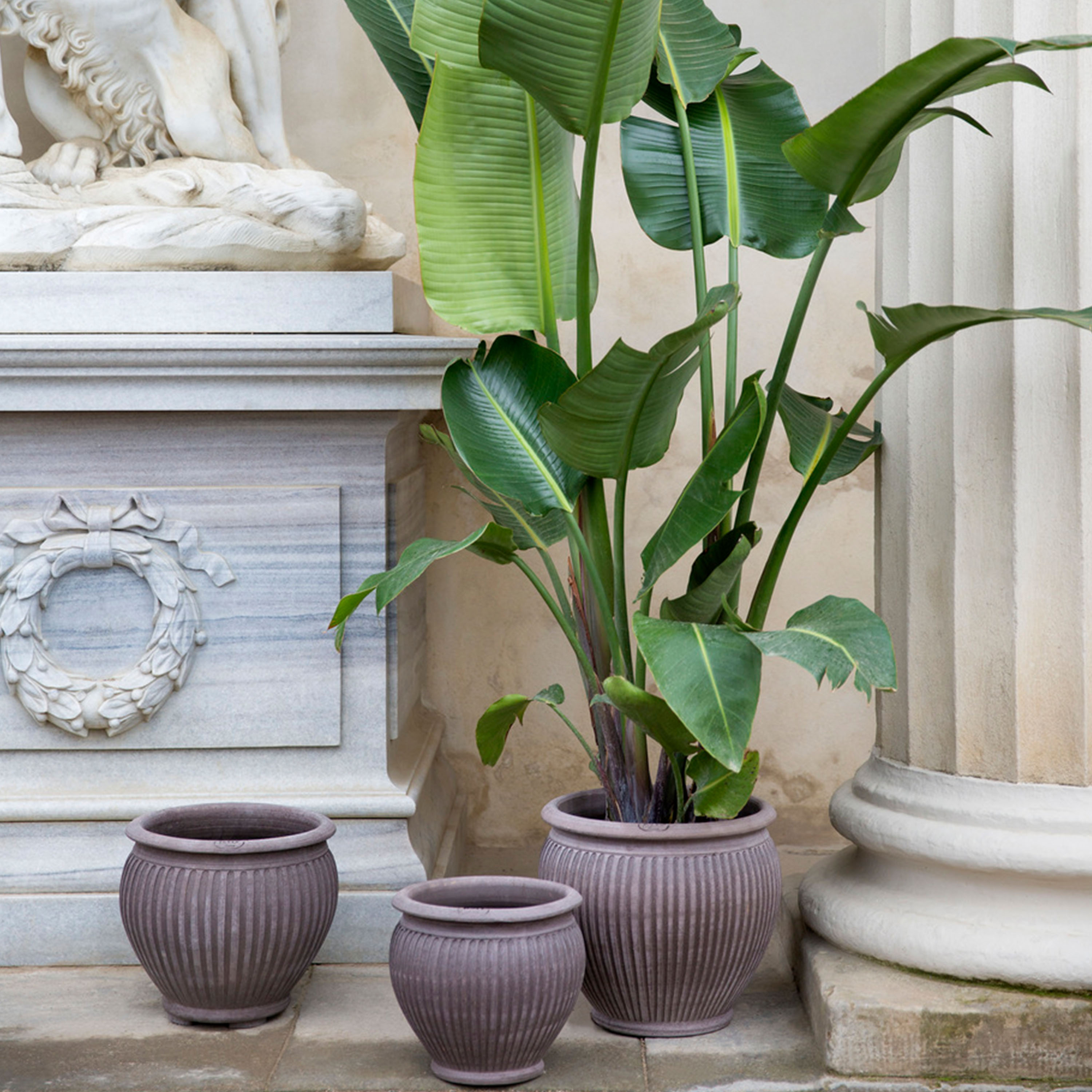 Bergs Potter Piccolina Kruka Raw Grey Terracotta Ø30