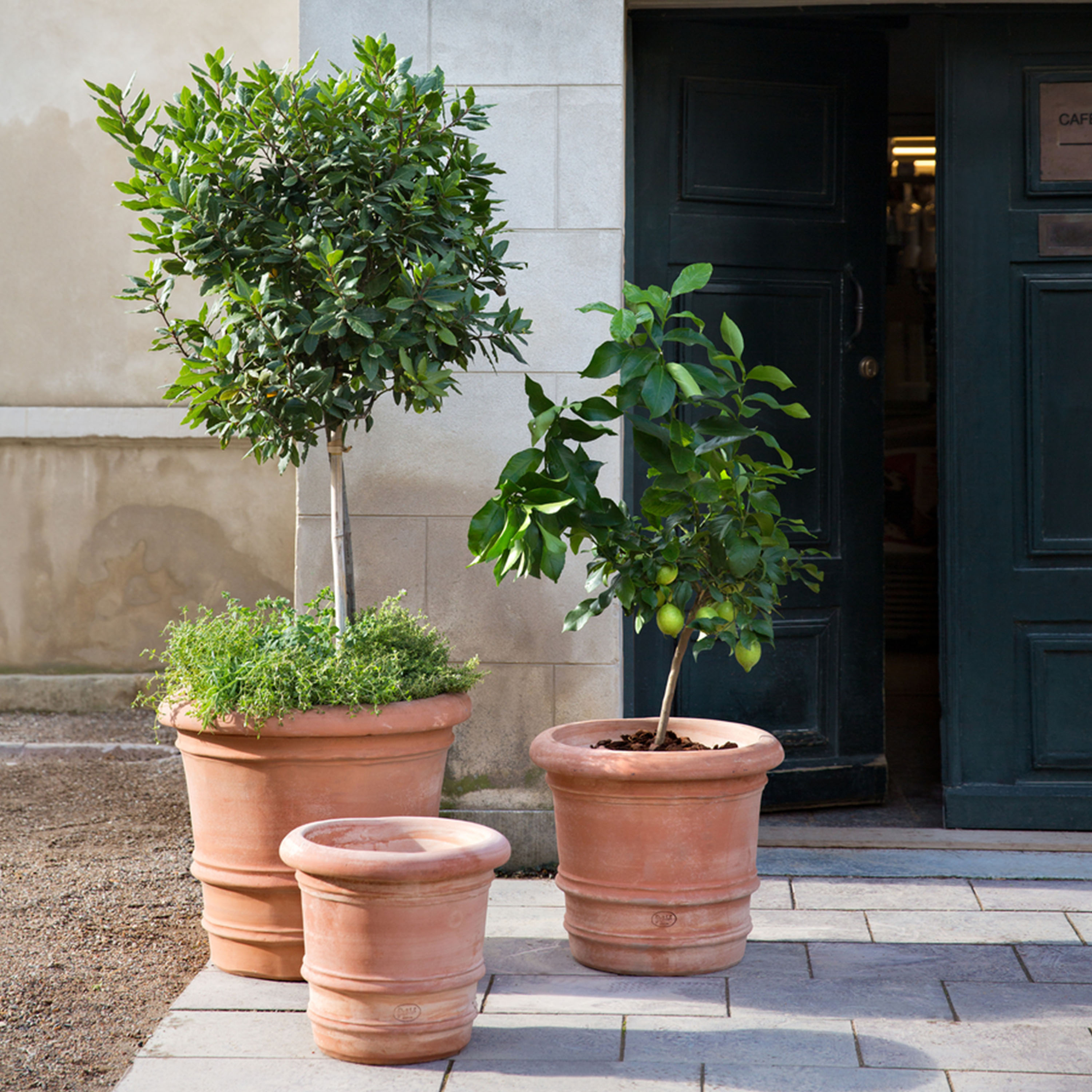 Bergs Potter Lucca Krukke Raw Rosa Terrakotta Ø70