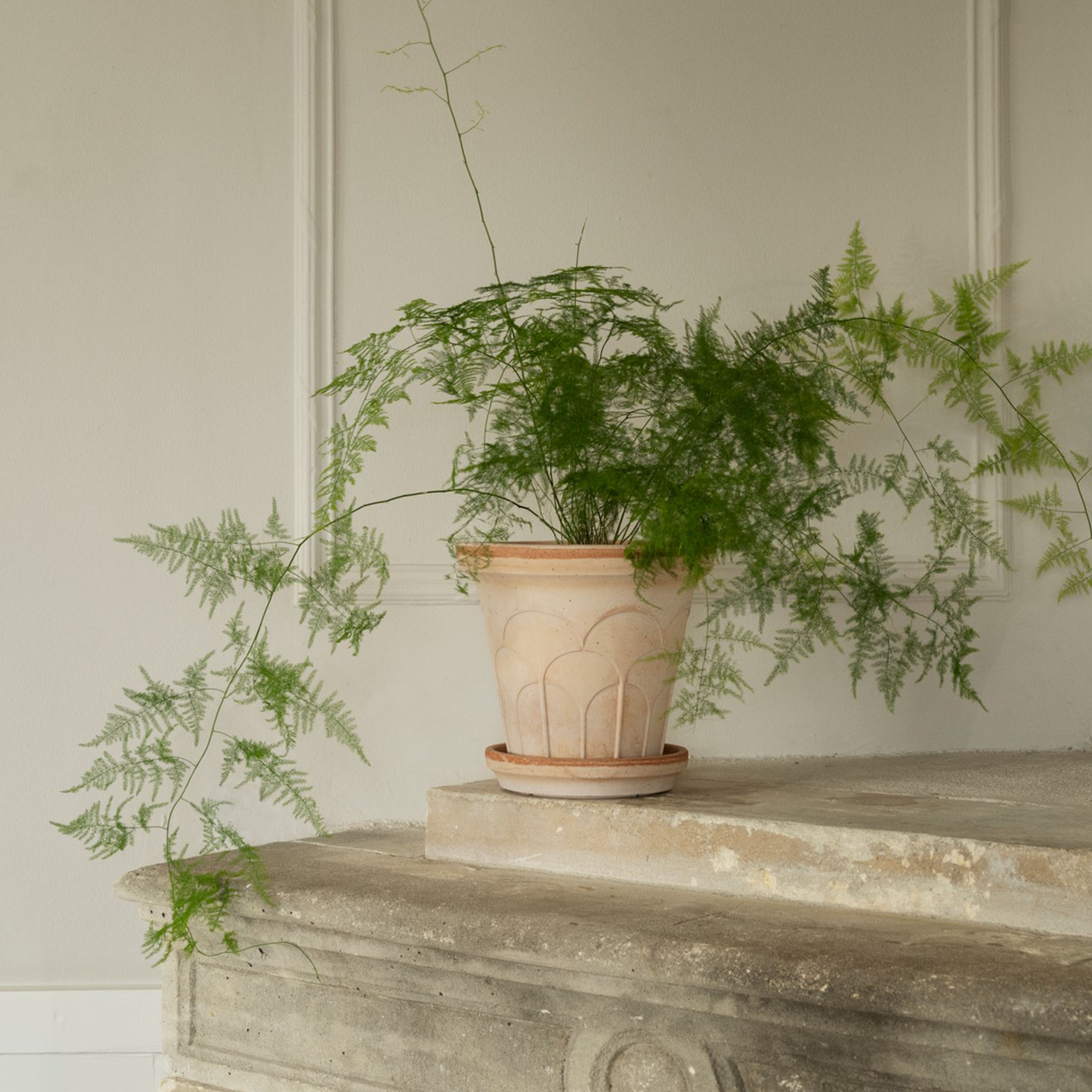 Bergs Potter Fleur Ruukku aluslautasella Raw Rosa Ø28