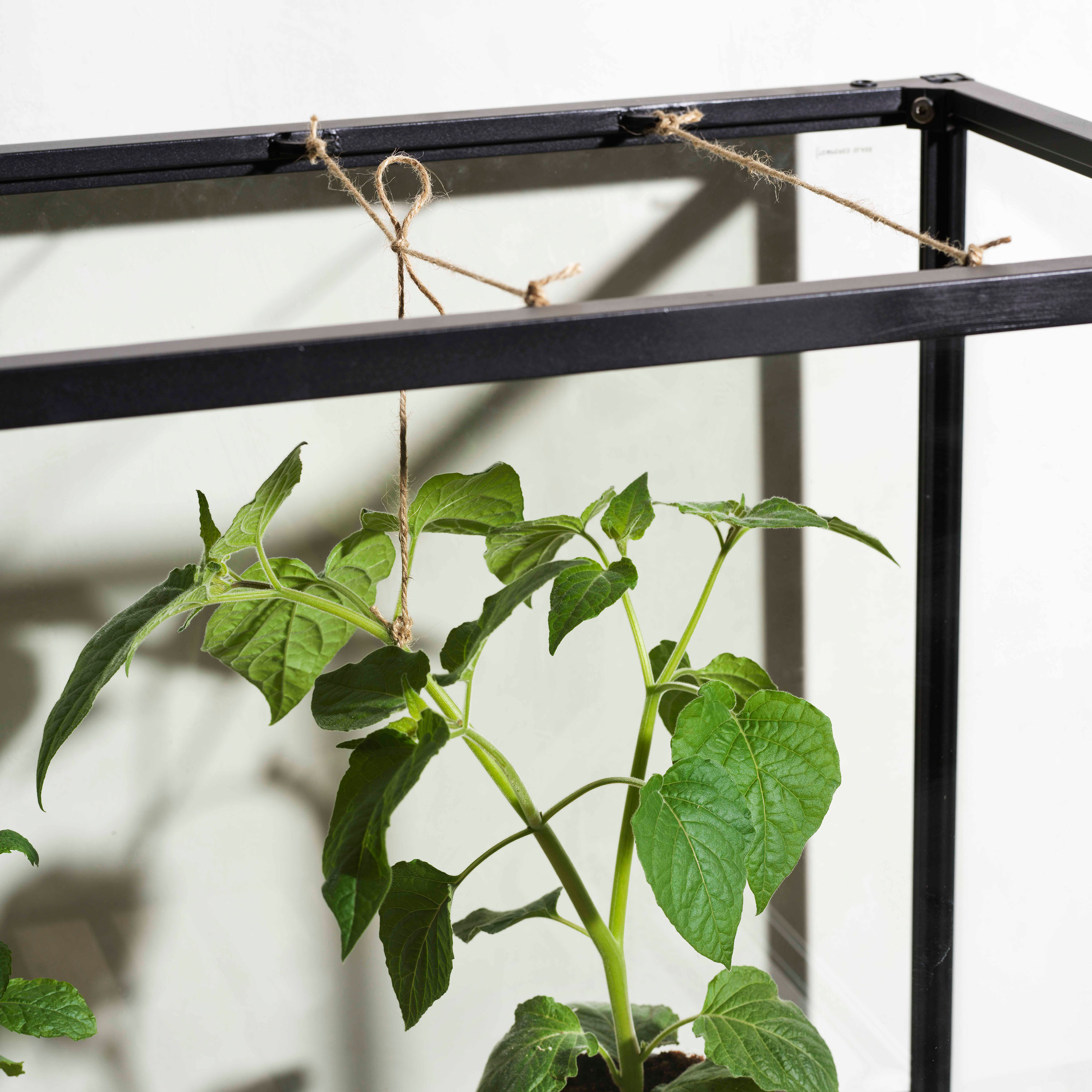 Brafab Grower Växthus Black Tall