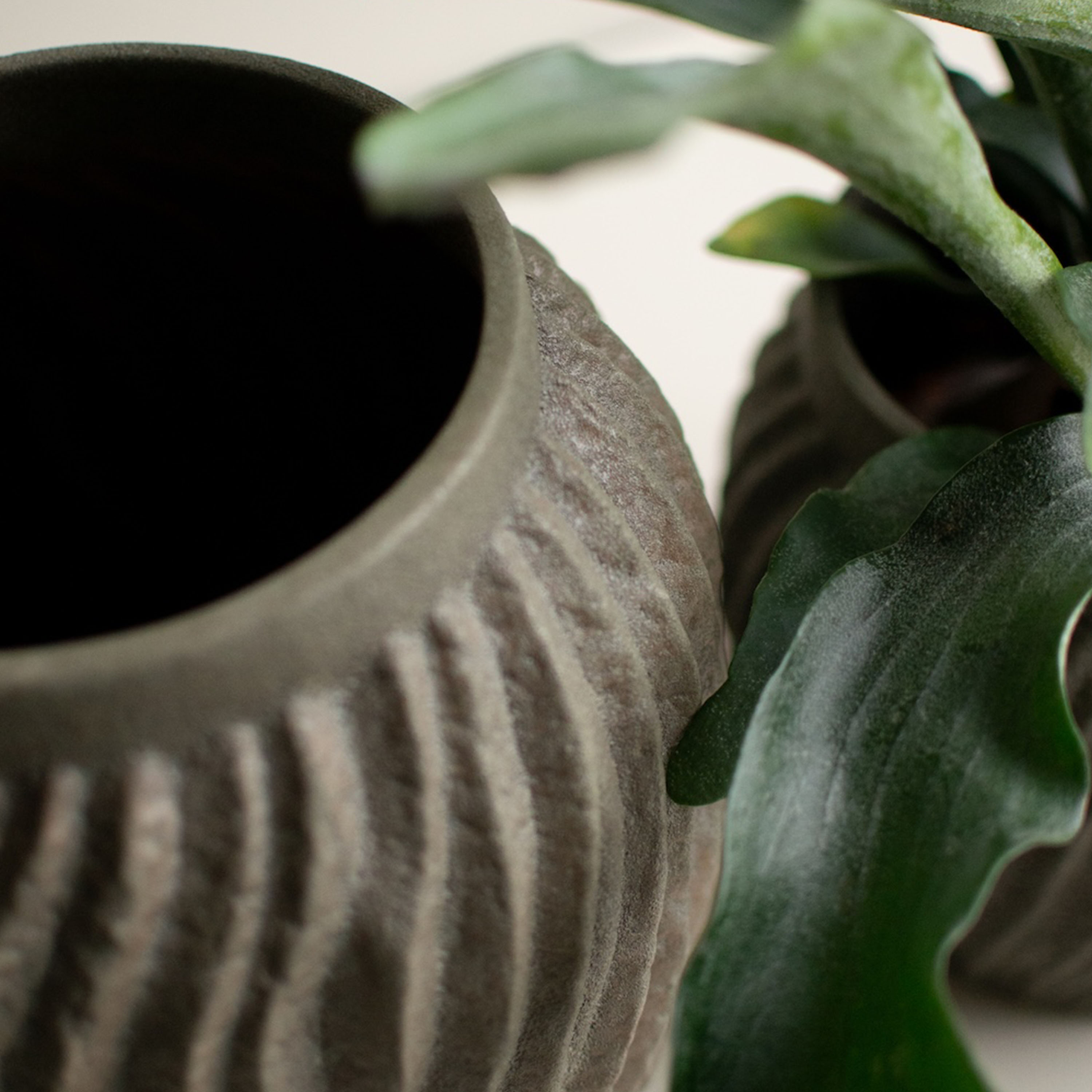 DBKD Raw Kruka Sandy Dust Large