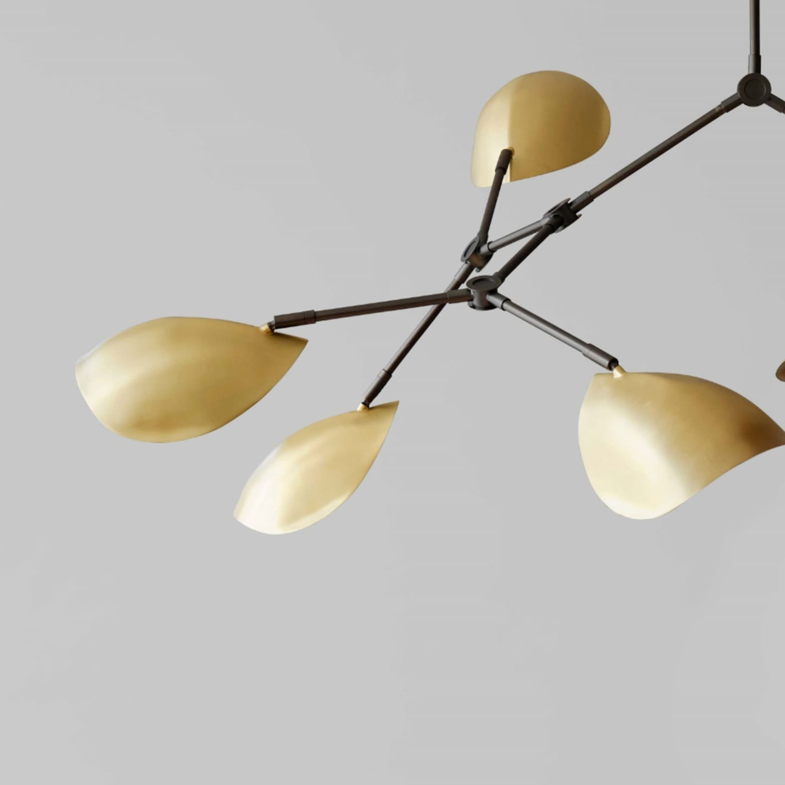 101 Copenhagen Stingray Kattovalaisin Brass 152cm