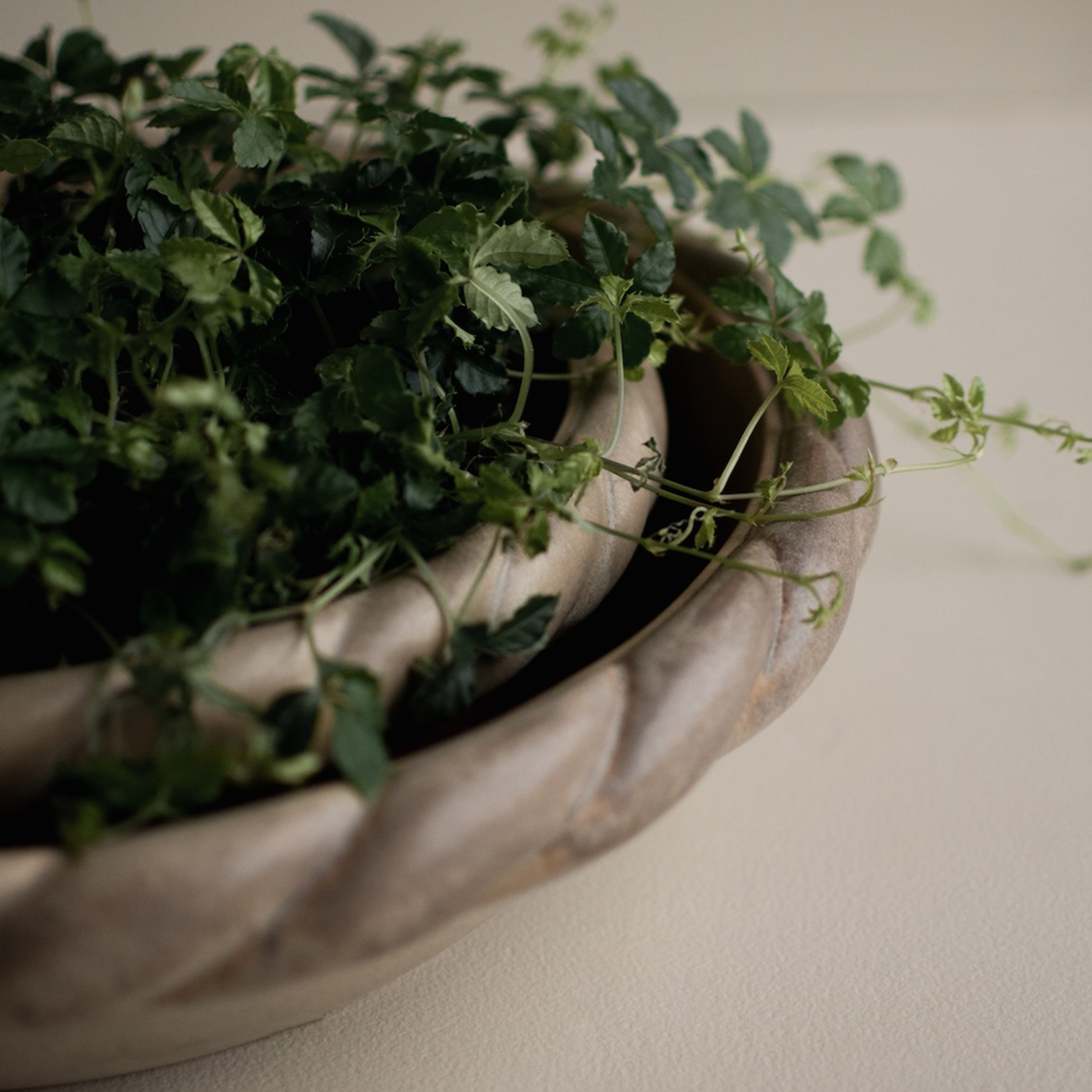 DBKD Twine Kulho Beige Ø30