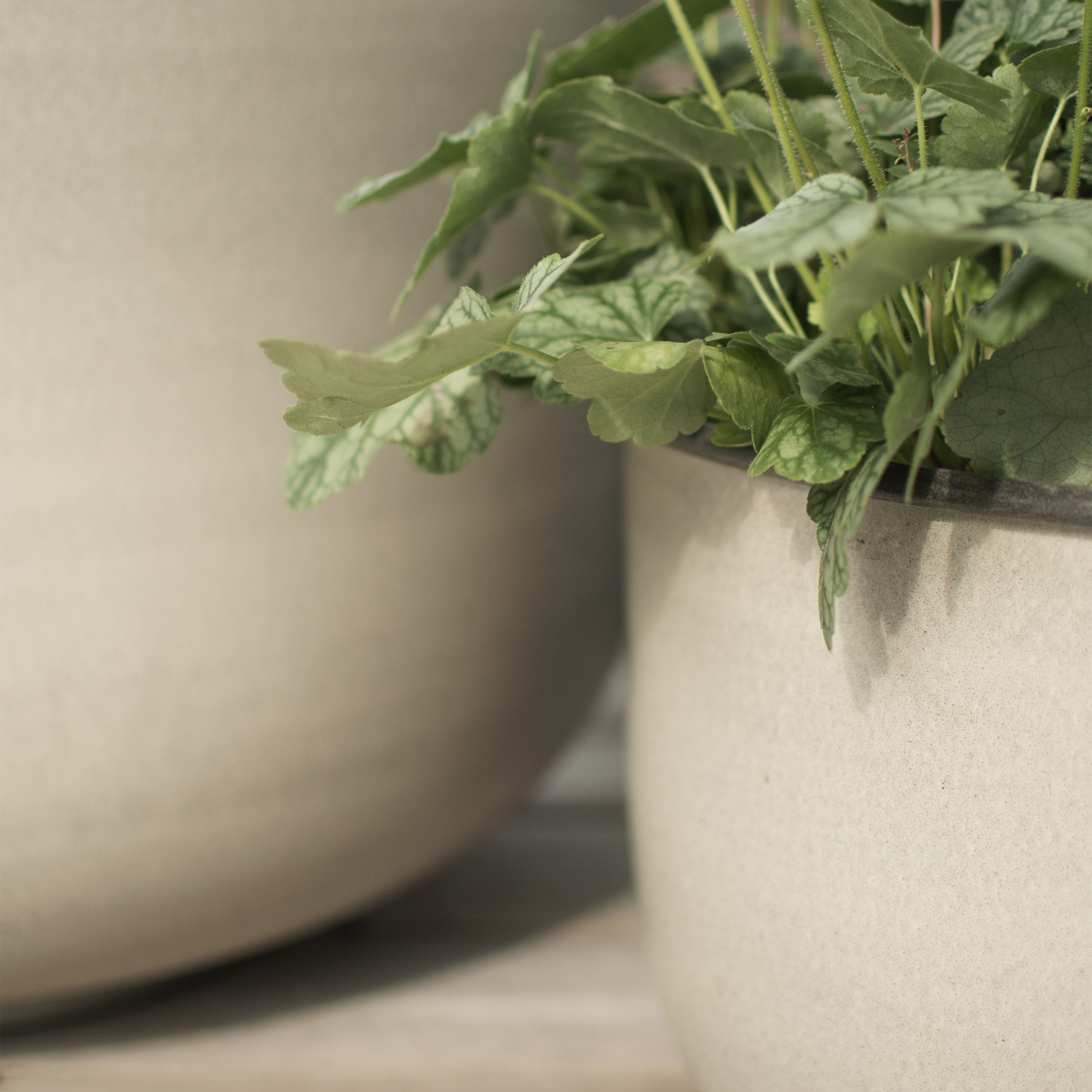 DBKD ut Wide potte Beige 2-pack