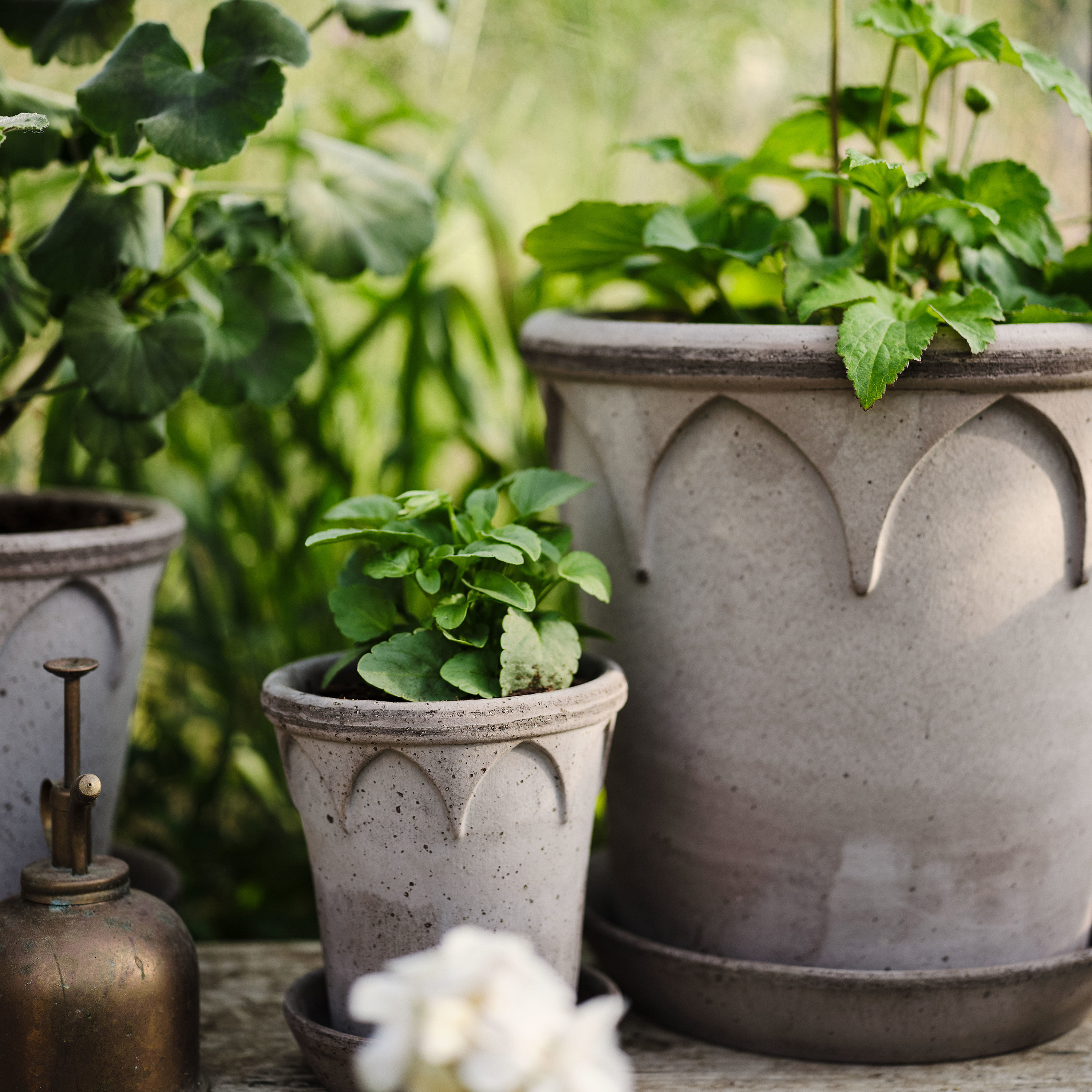 Bergs Potter Elizabeth Topf mit Untersetzer Raw Grey Terrakotta Ø18