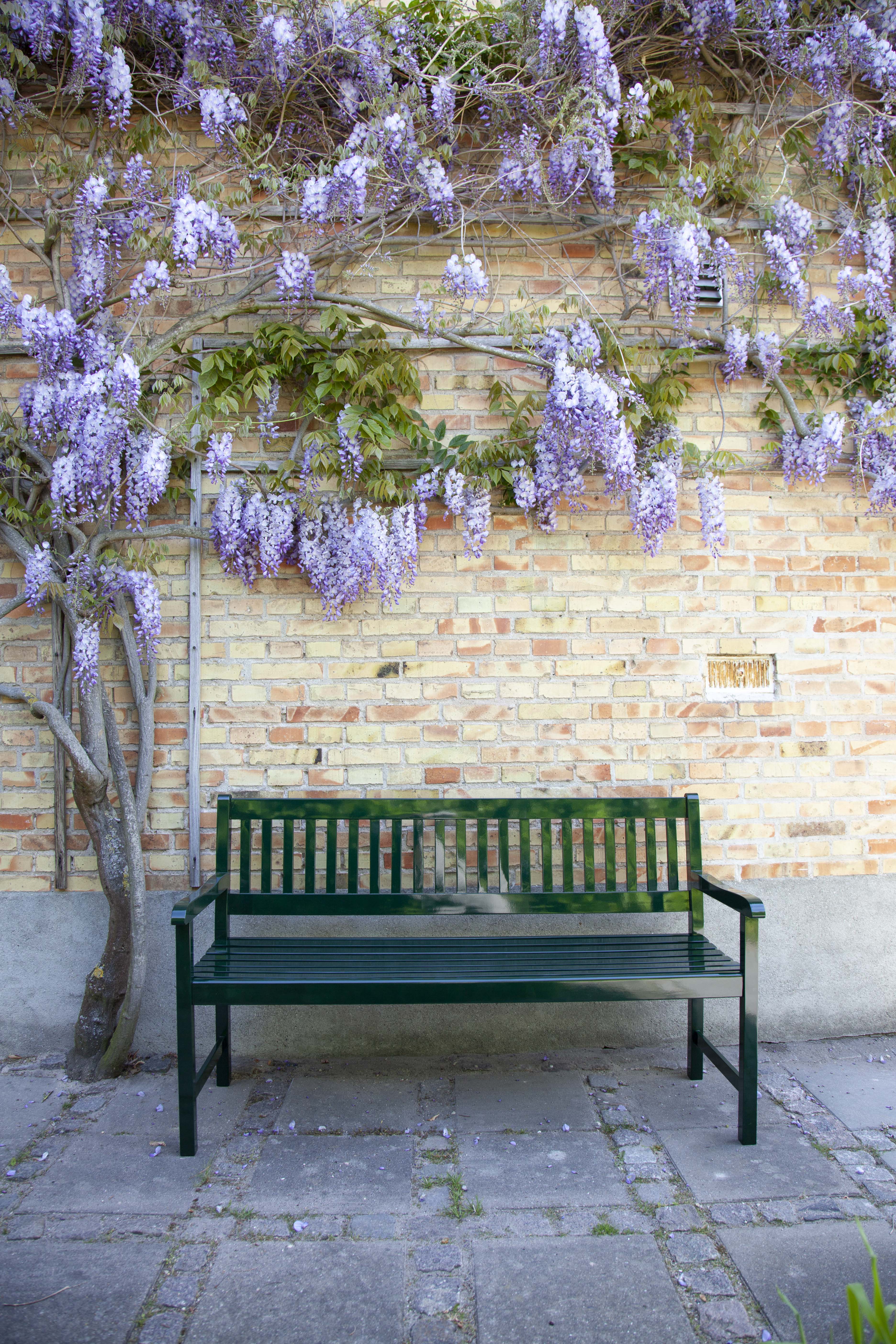 Cinas Brighton Benk Grønn 108cm