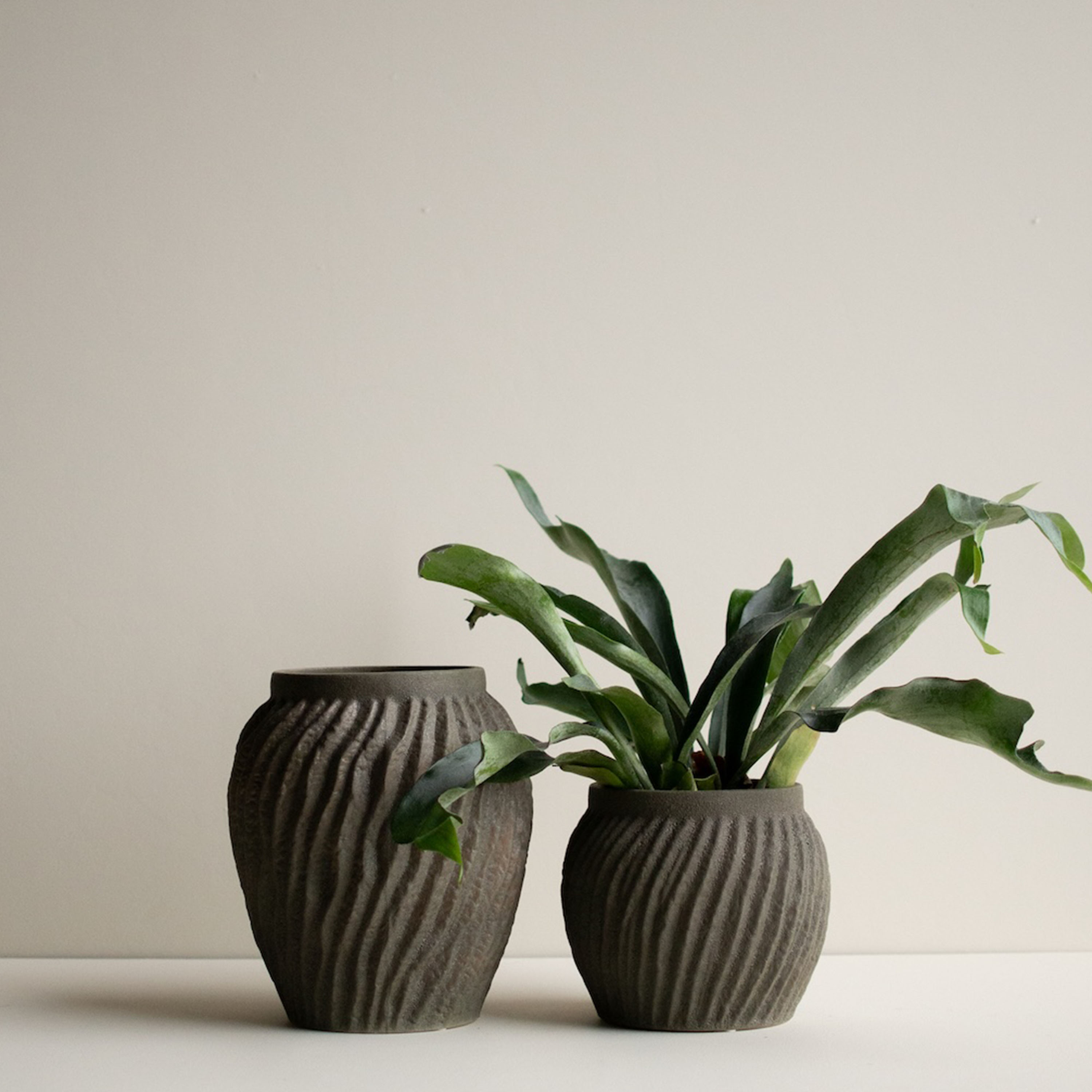 DBKD Raw Kruka Sandy Dust Large