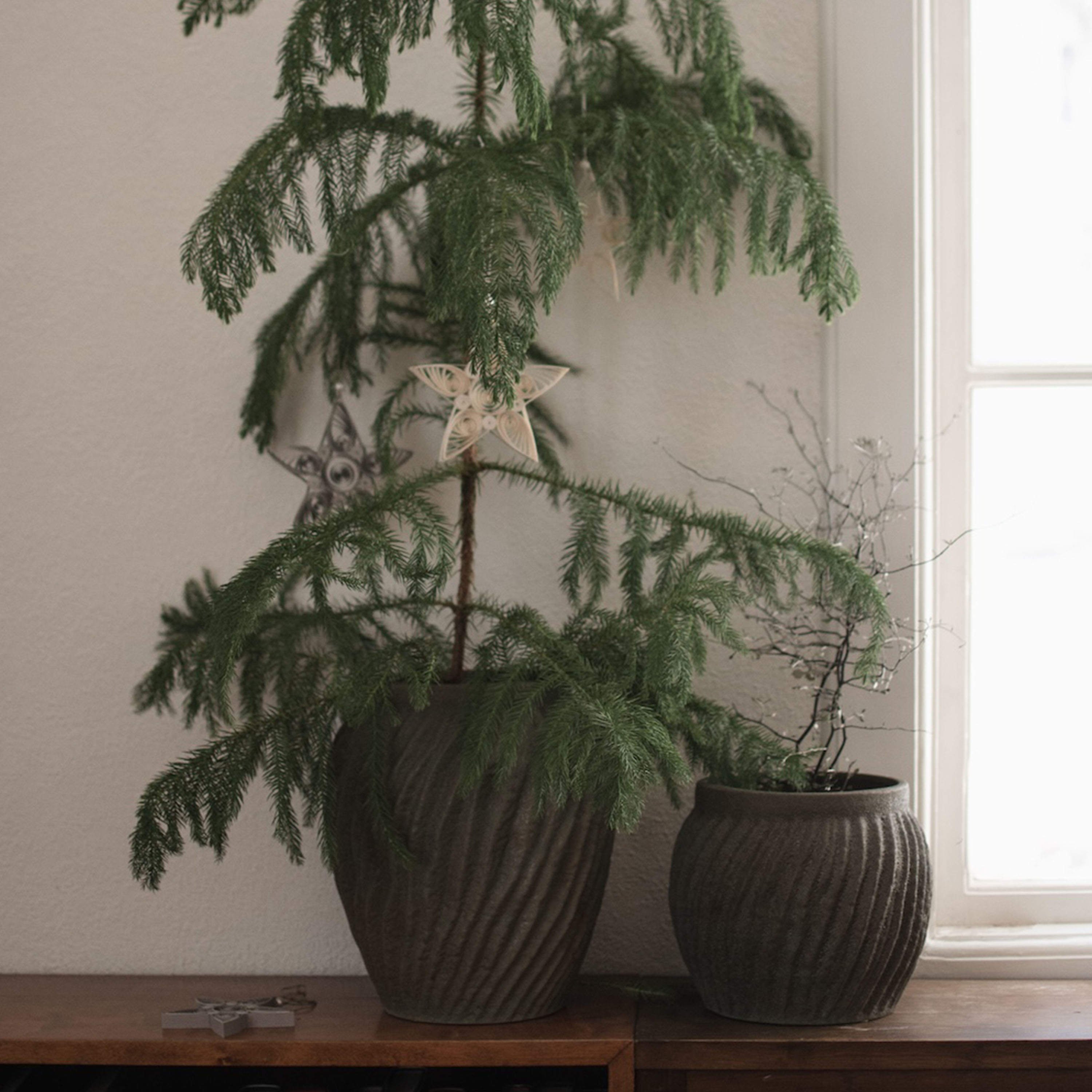 DBKD Raw Kruka Sandy Dust Large