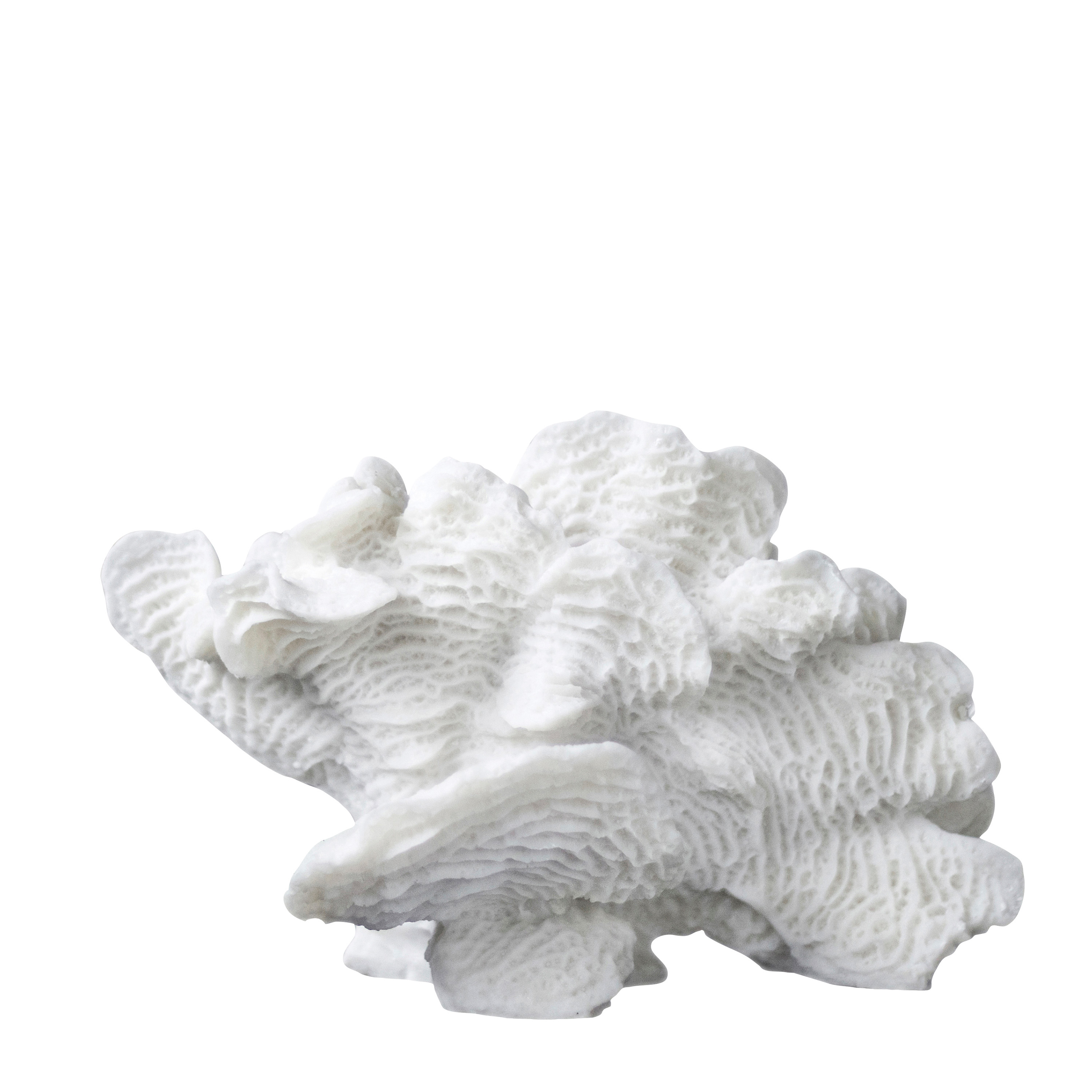 Coral Fan Dekoration White