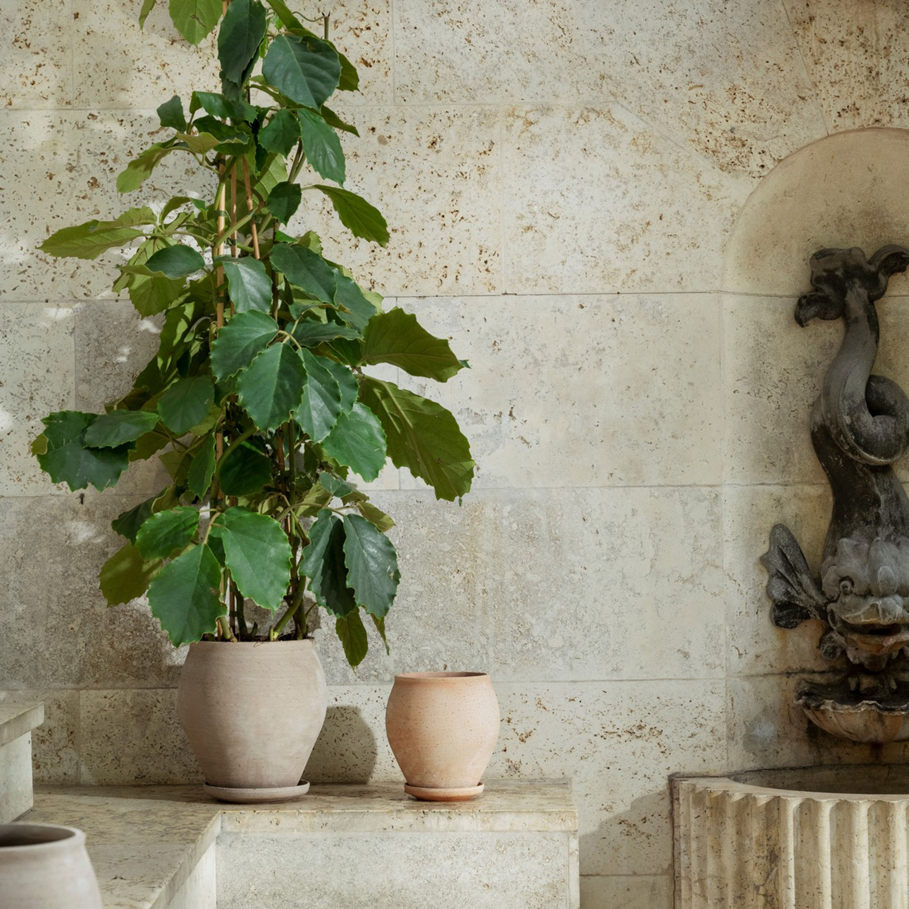 Bergs Potter Delphi Ruukku aluslautasella Raw Grey Ø22