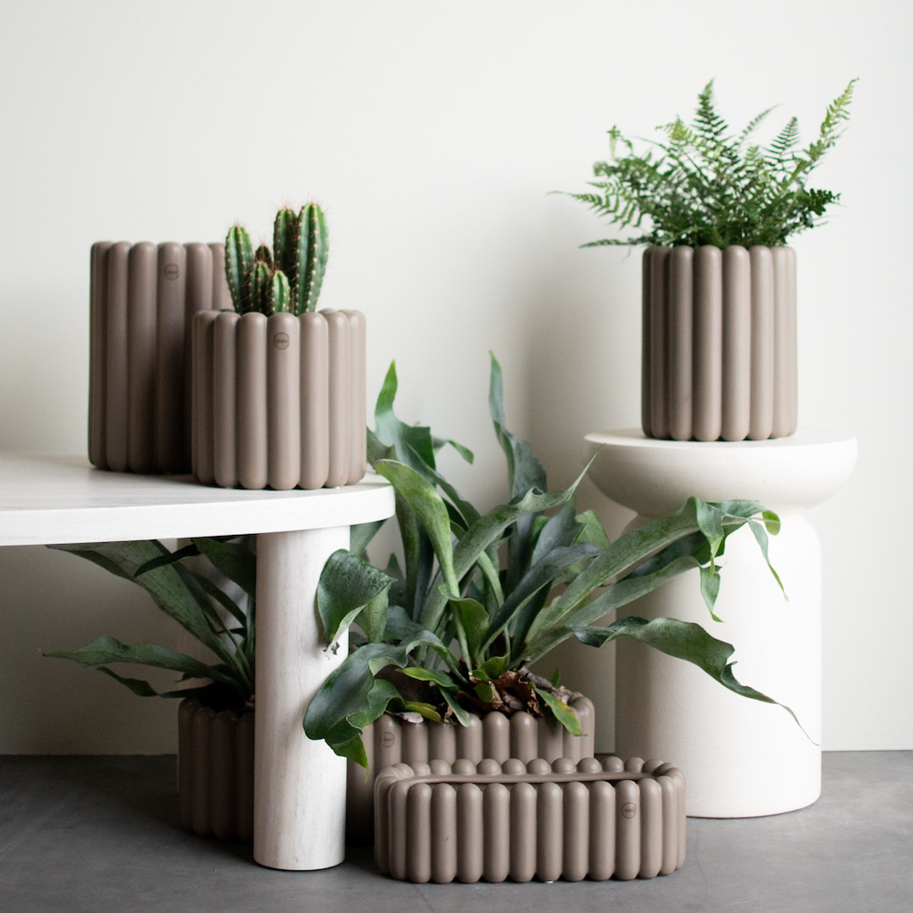 DBKD Mist Kruka Dust Large