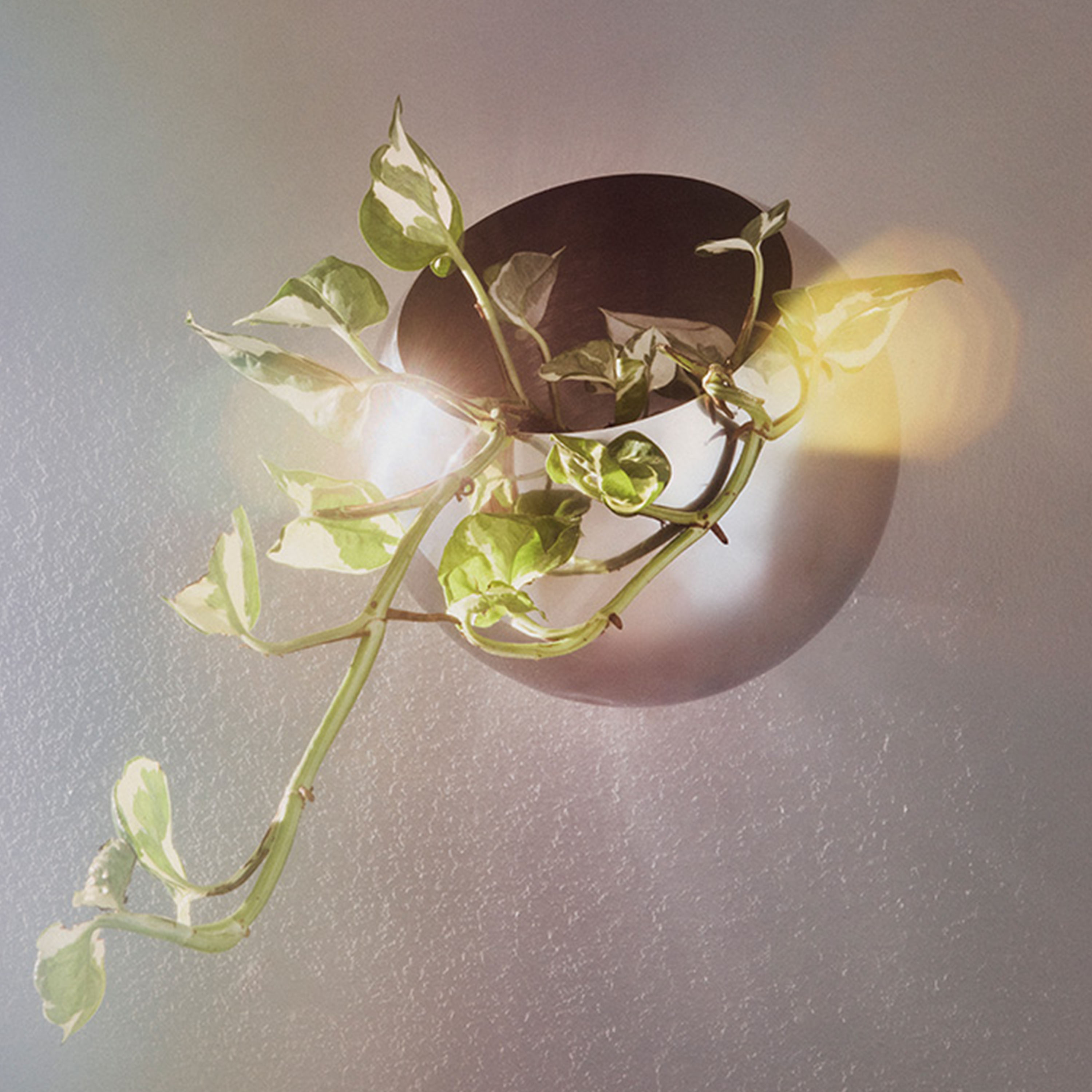 AYTM Globe Wandtopf Silber Ø21