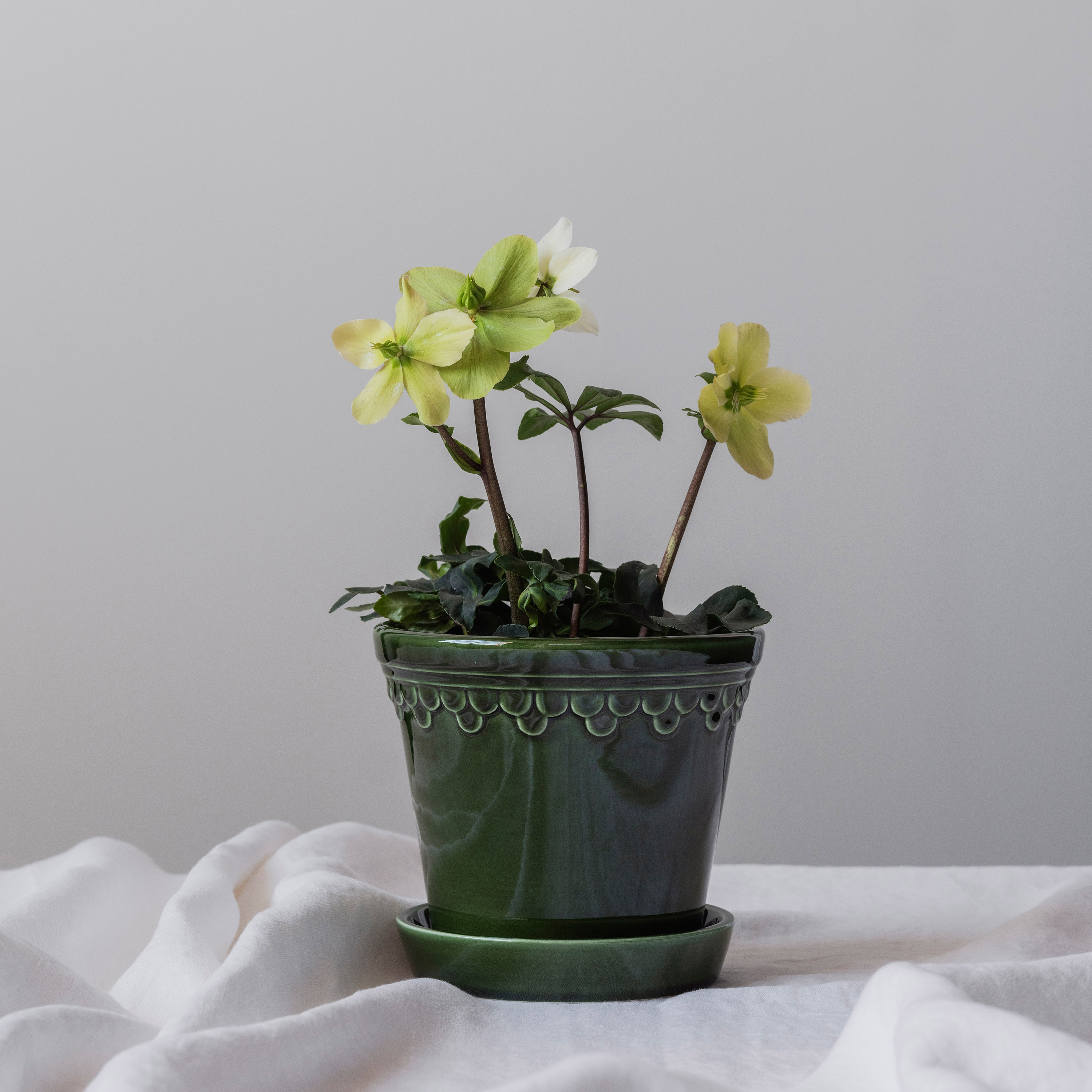 Bergs Potter Københavner Kruka med fat Glazed Emerald Green Ø25