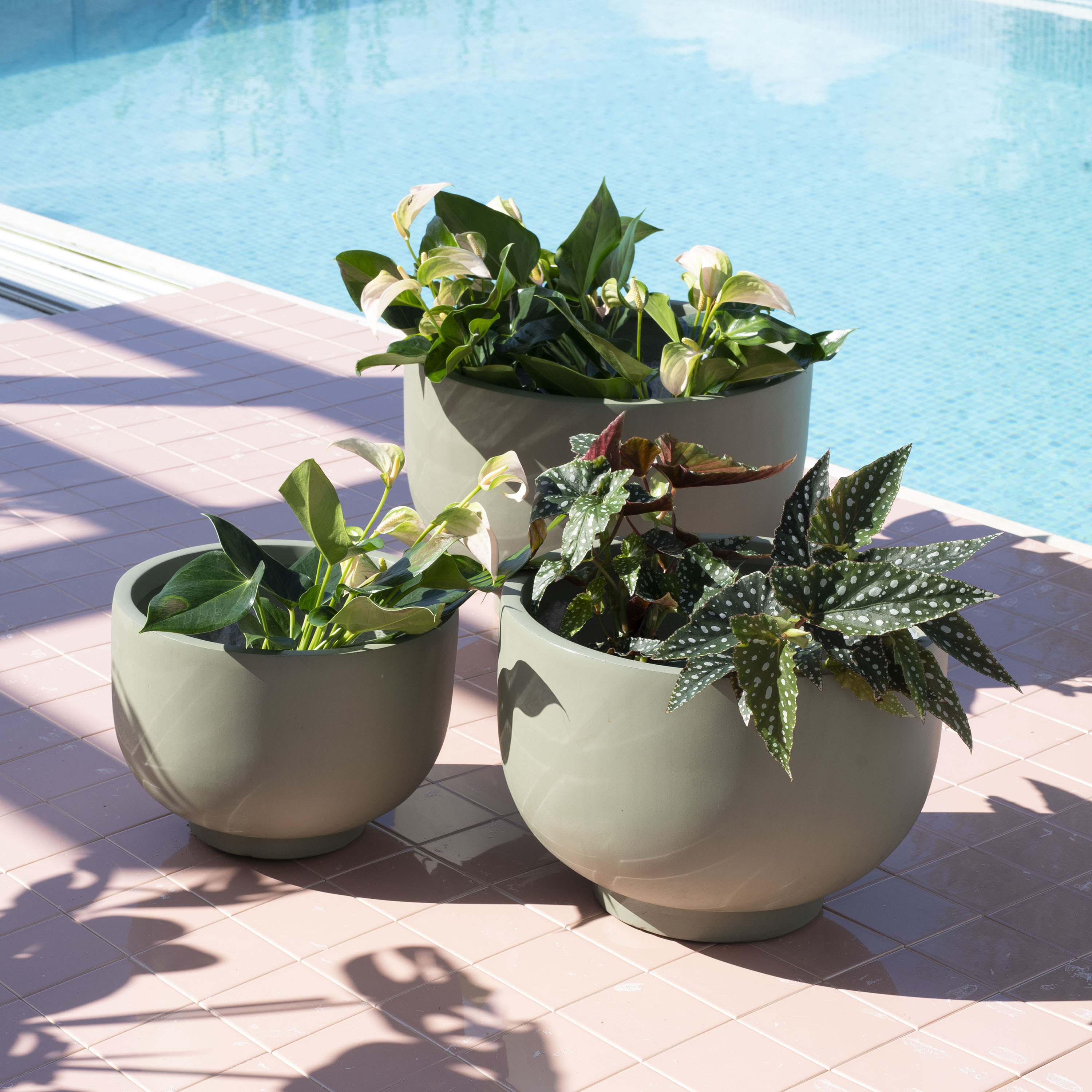 Wikholm Form Malin Kruka Grön Låg 3-pack