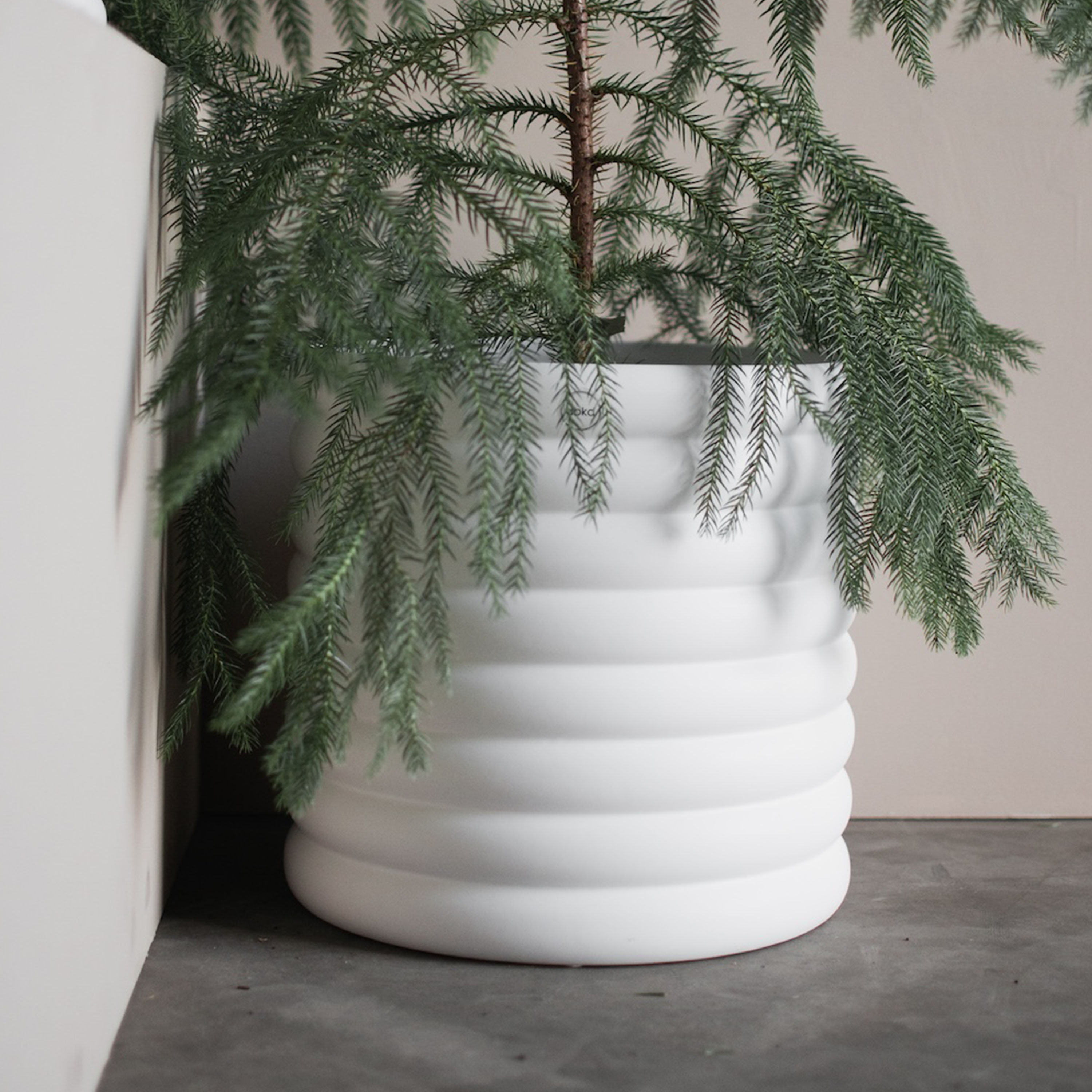 DBKD Mud Kruka Vit XL