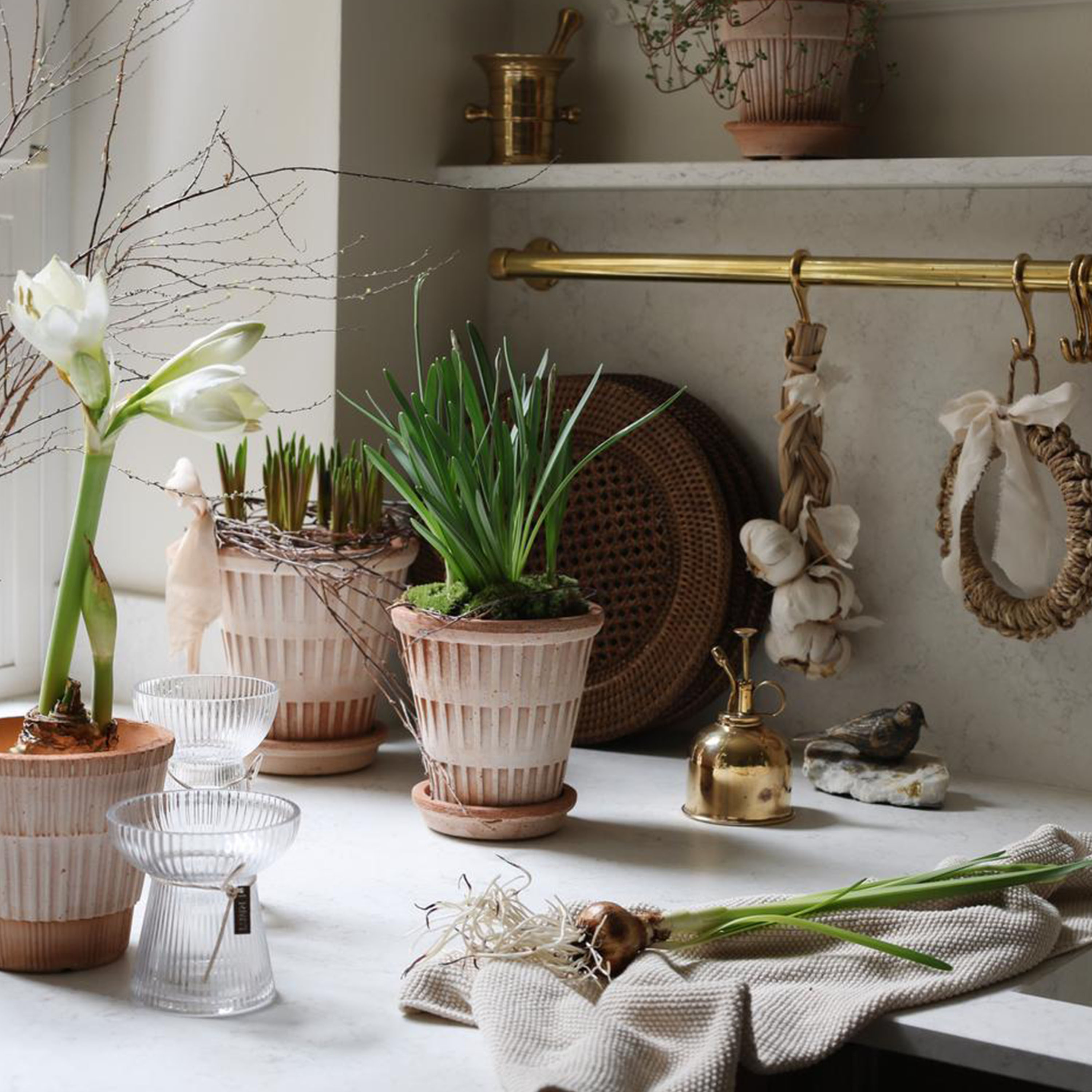 Bergs Potter Atlas Topf Raw Rosa Terrakotta Ø16