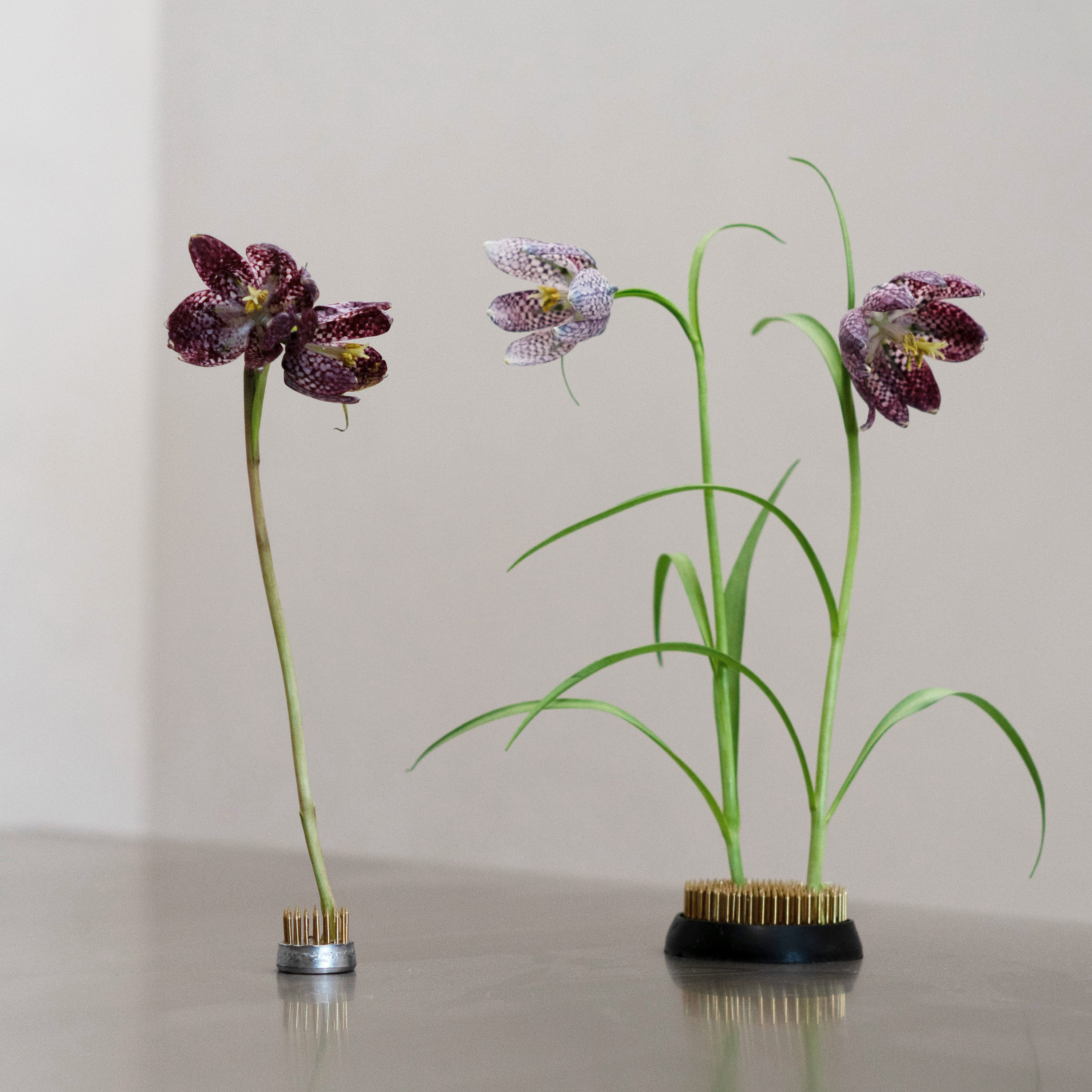 Hein Studio Kenzan Hanataba Harmaa 23mm