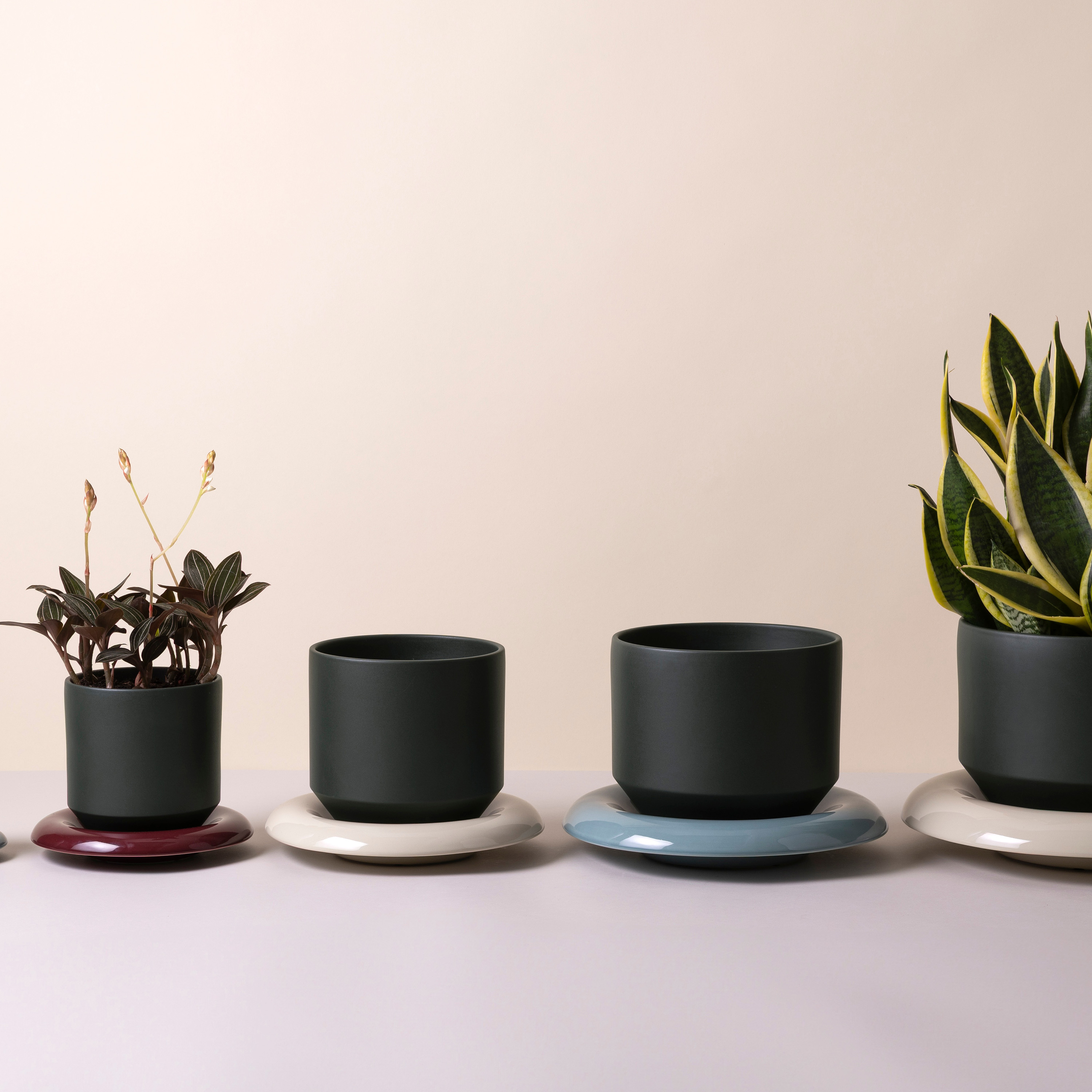 Bergs Potter Lily Topf glasiert Forest Night Ø21