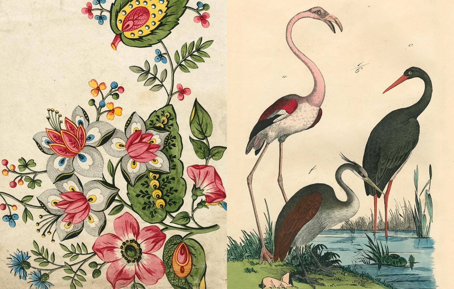 New Mags John Derian Picture Book II Bok