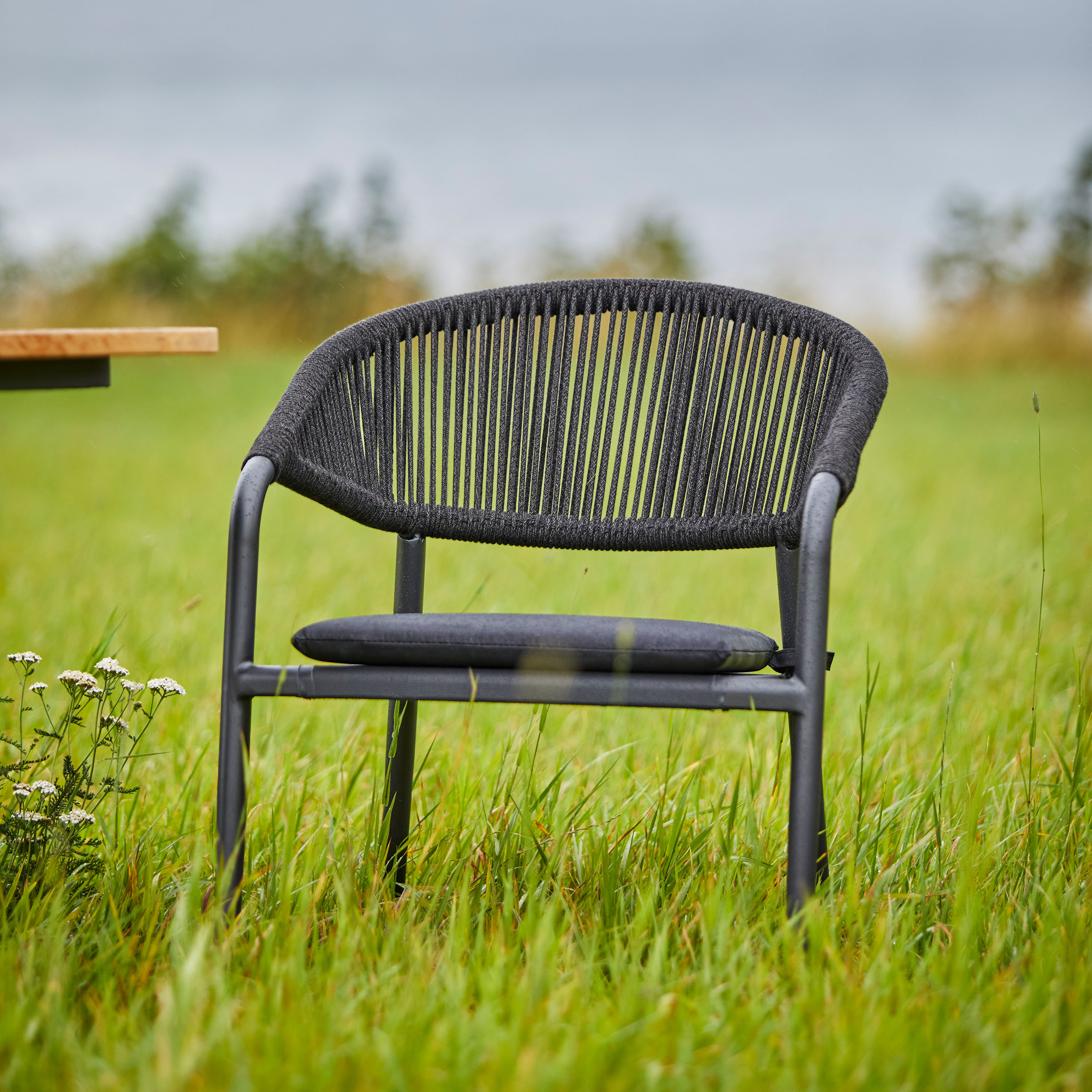 Hillerstorp Ekeryd Stol Antracitgrå 4-pack