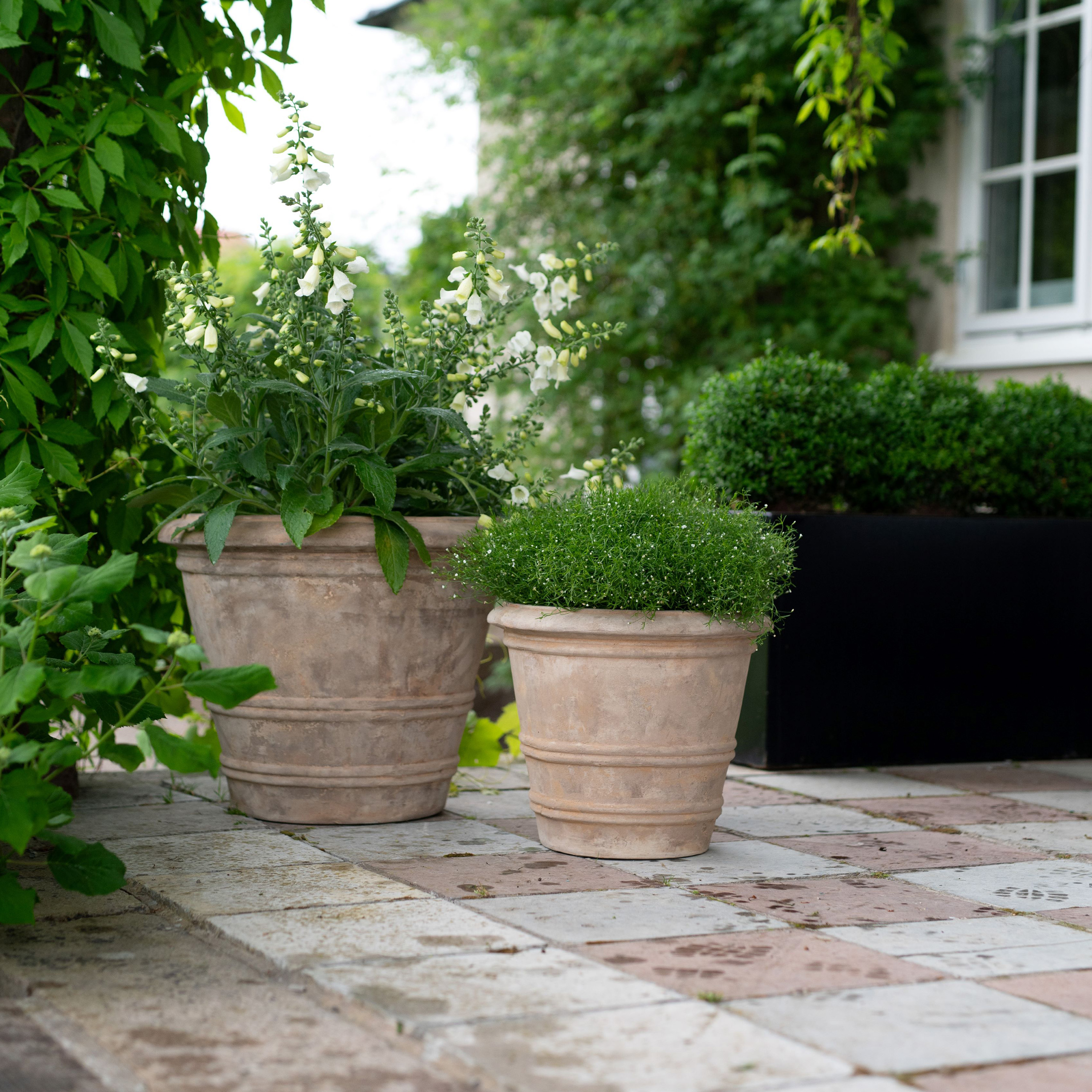 Wikholm Form Quinn Potte Antikk Terrakotta 3-pakning