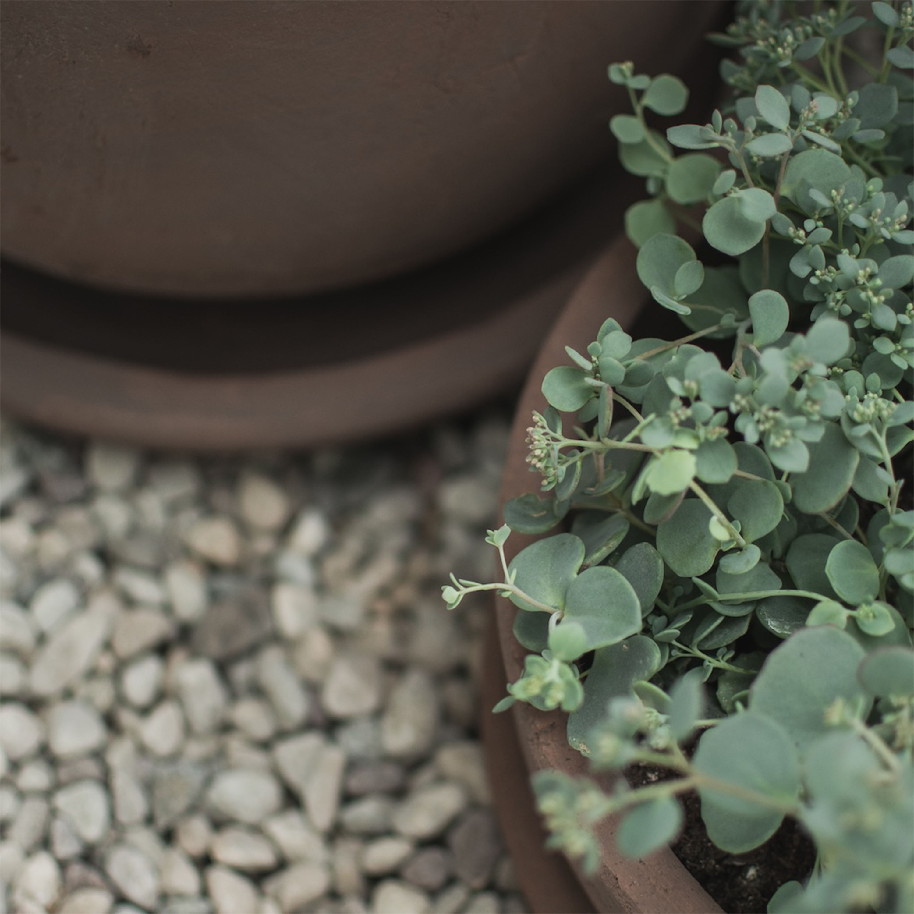 DBKD Terra Skål Brown Ø30