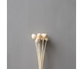 Golden Ball Dried Flowers White