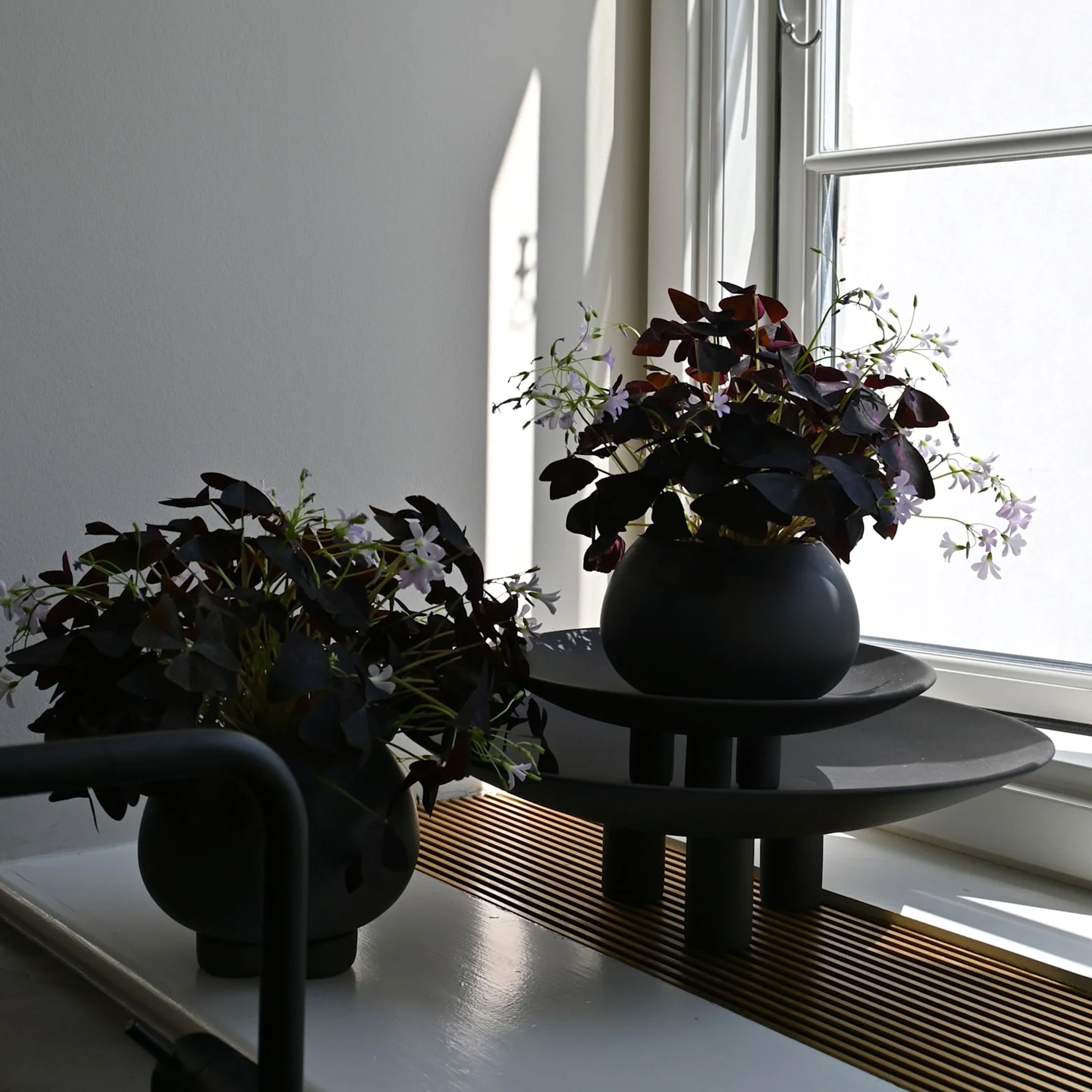 101 Copenhagen Urchin Kruka Coffee Petit