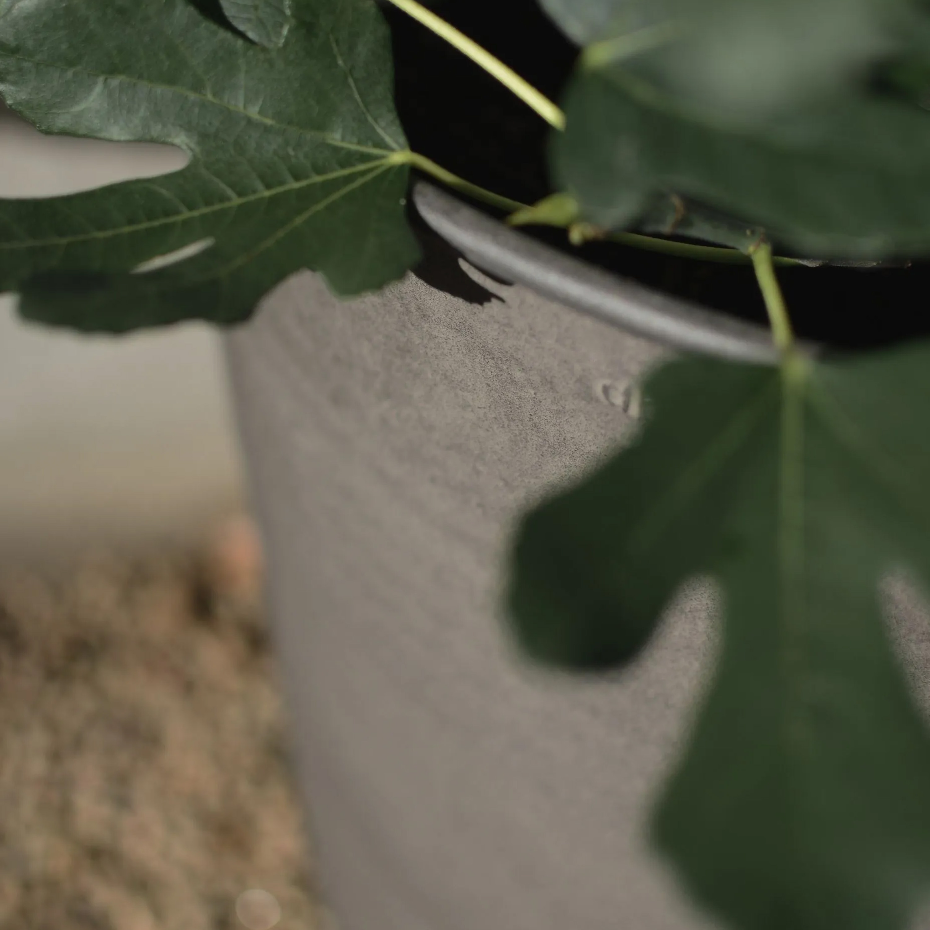 DBKD Out Pot Beige 4-pakkaus