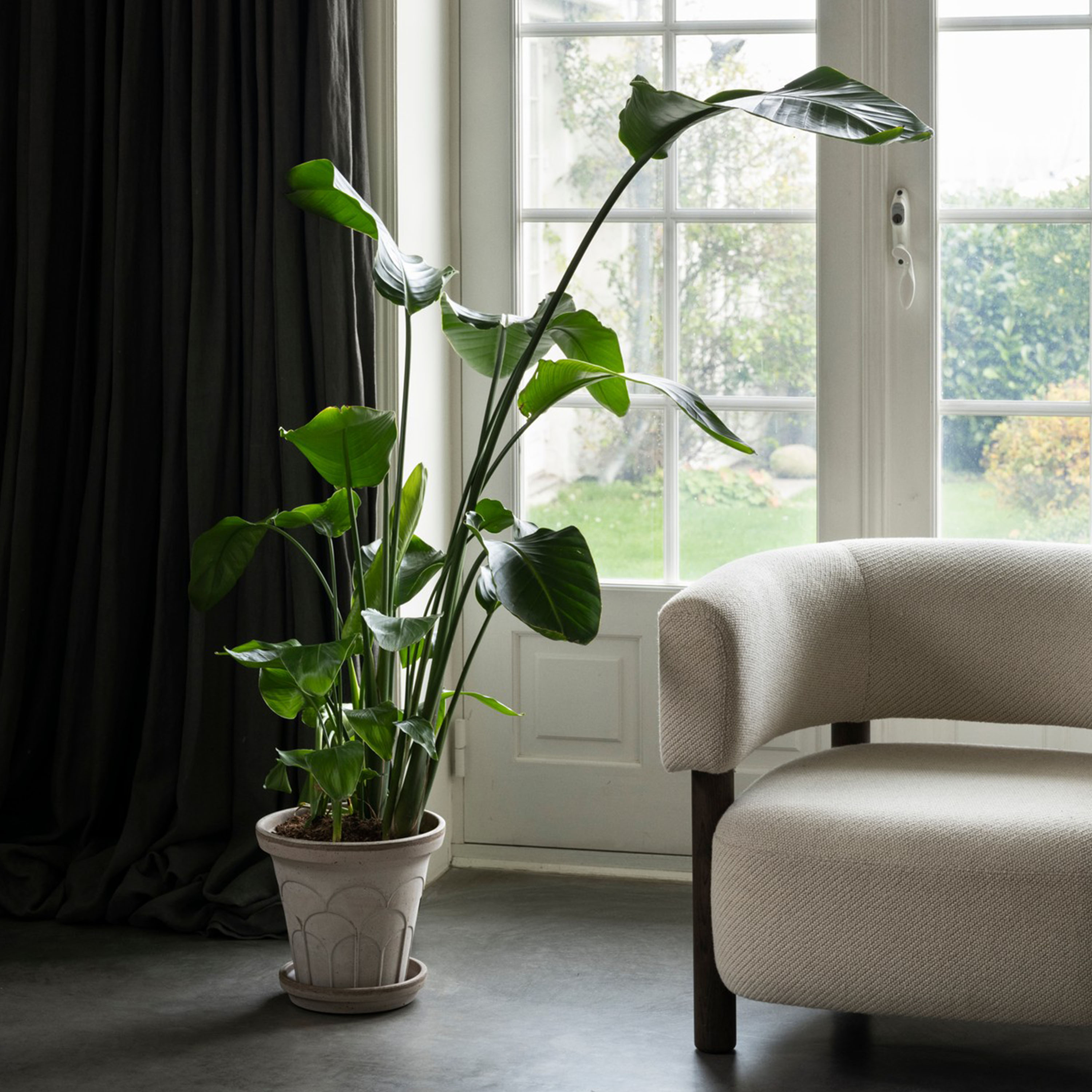 Bergs Potter Fleur Ruukku aluslautasella Raw Grey Ø28