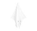 Organic Premium Terry Handduk White 70x140