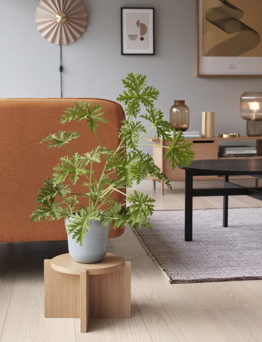 Hübsch Nomad Piedestal FSC Ek