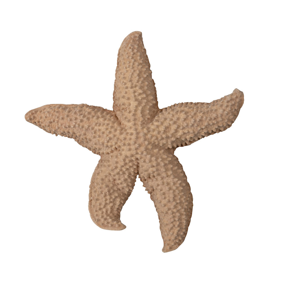 Sea Star Mandy Dekoration Beige